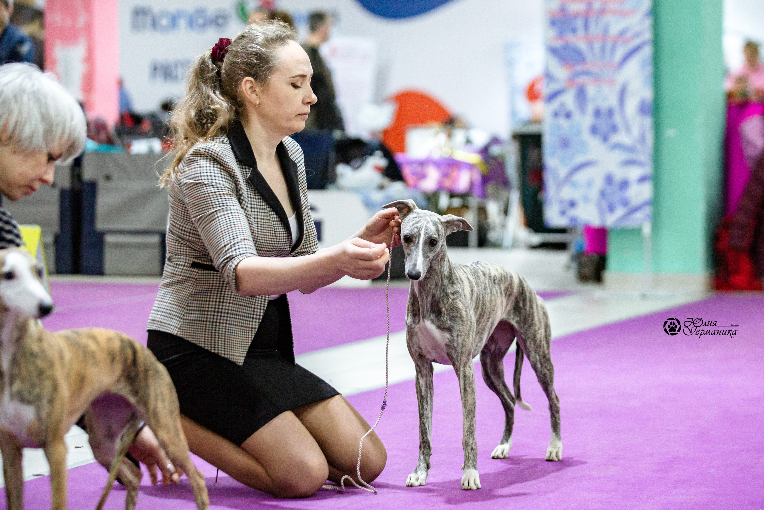 Чайна-Таун 13 и 20 марта 2022. Фотограф-анималист Юлия Германика