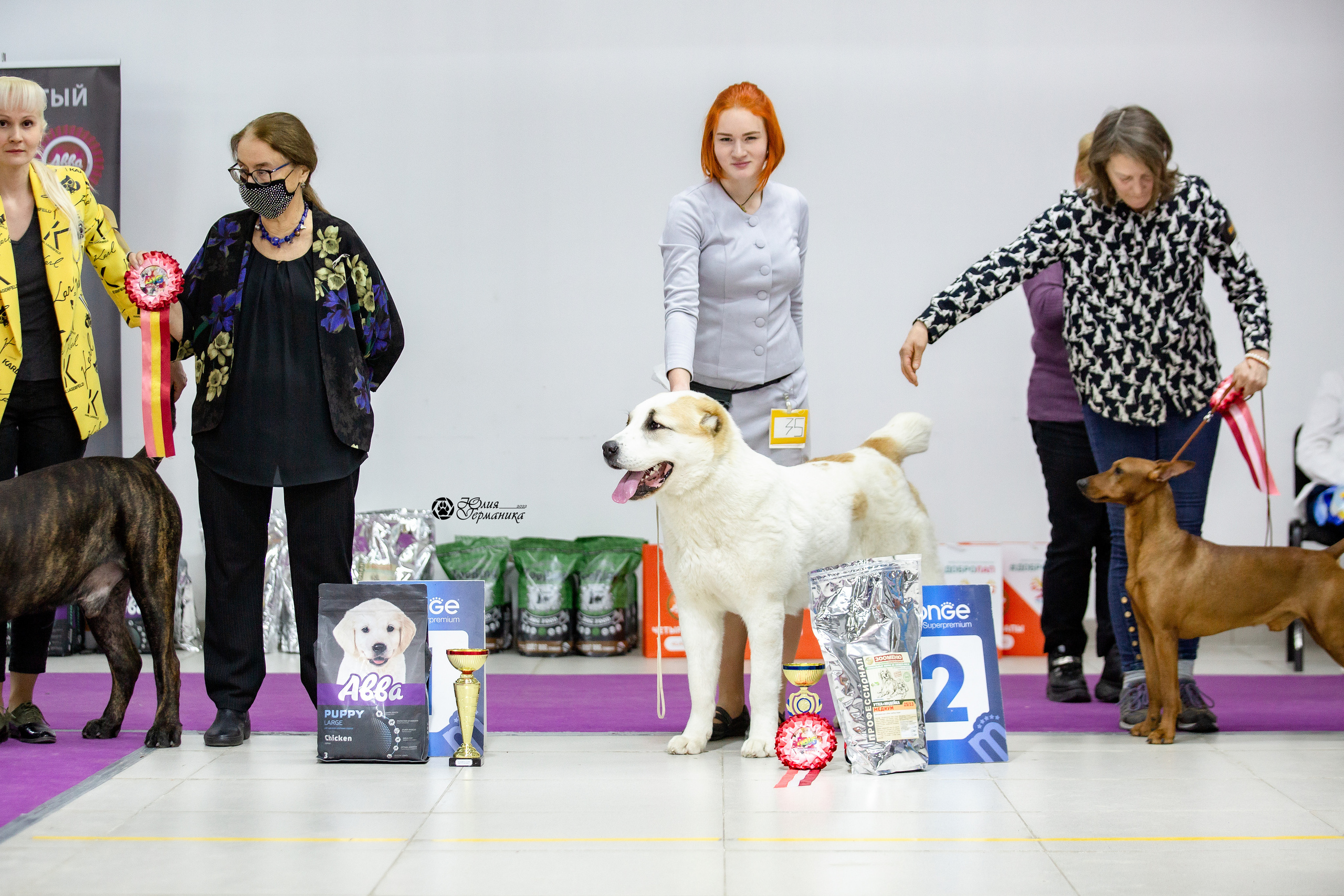 Чайна-Таун 29-30 января 2022. Фотограф-анималист Юлия Германика