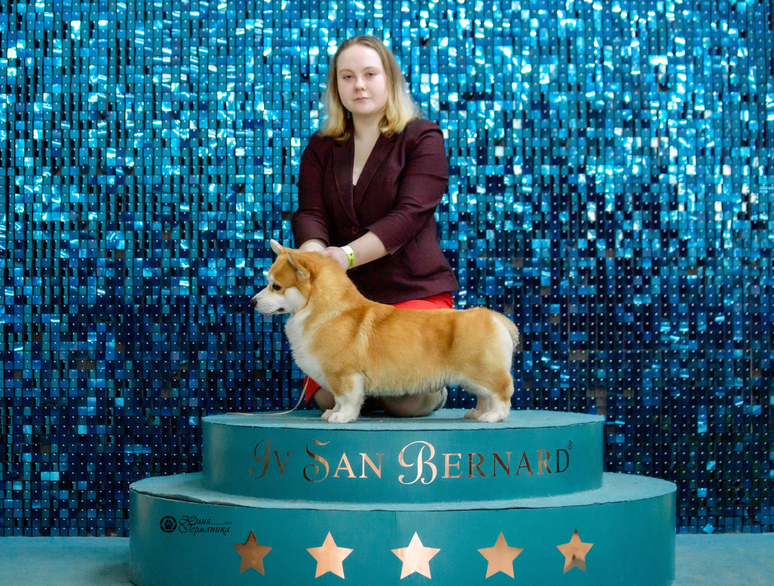 Чайна-Таун 13 и 20 марта 2022. Фотограф-анималист Юлия Германика