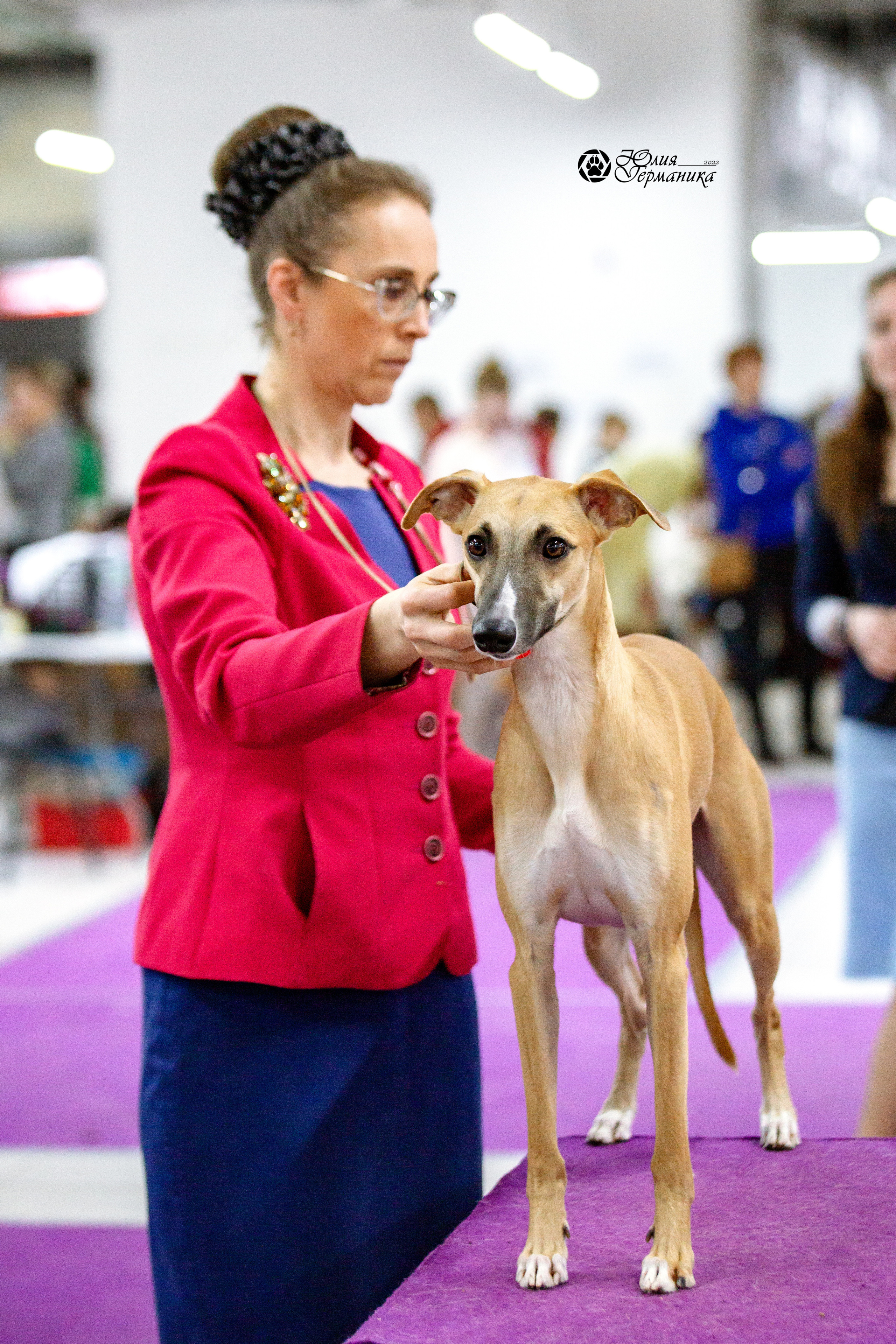 Чайна-Таун 13 и 20 марта 2022. Фотограф-анималист Юлия Германика