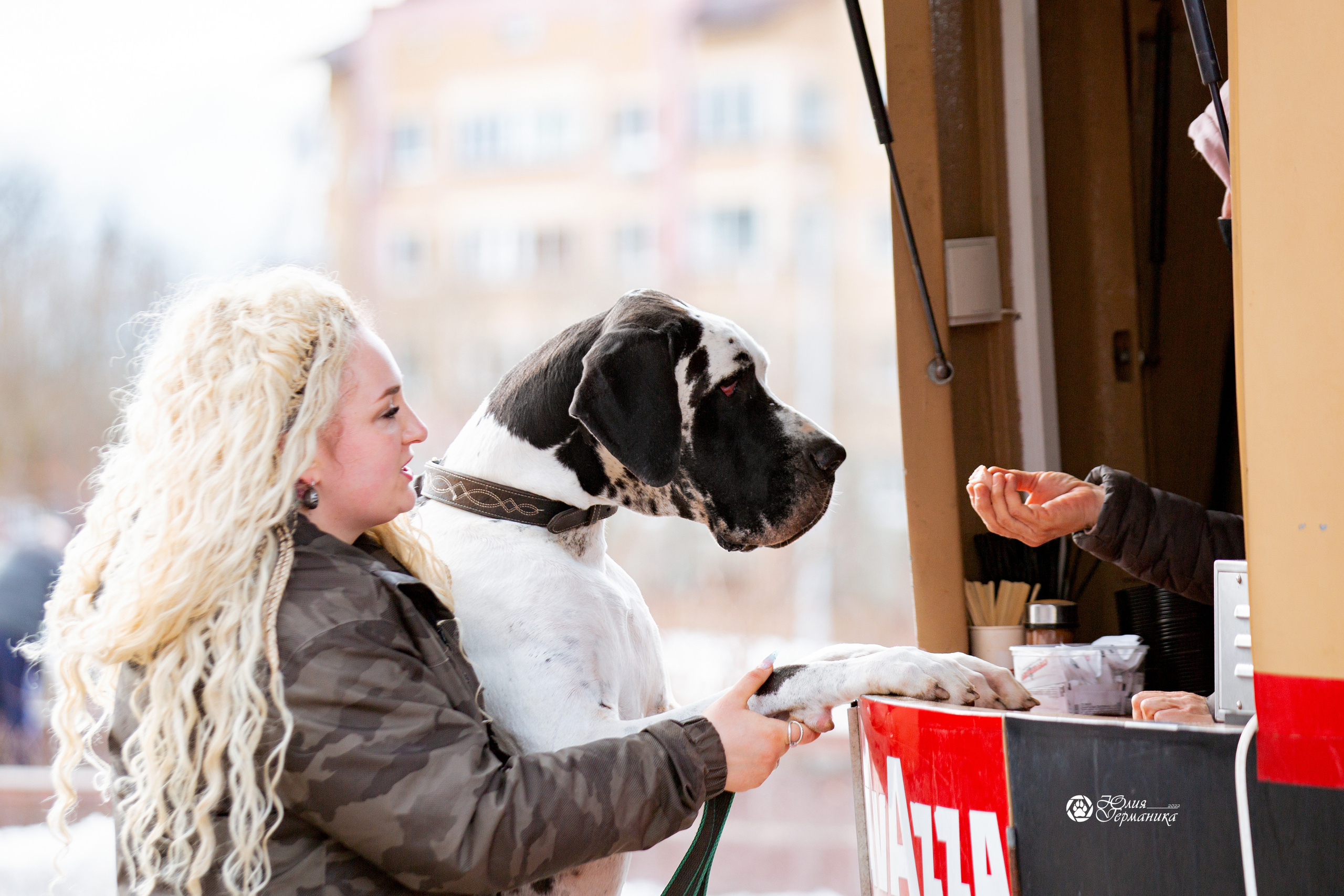 Минск 2хCACIB 5-6 марта 2022. Фотограф-анималист Юлия Германика