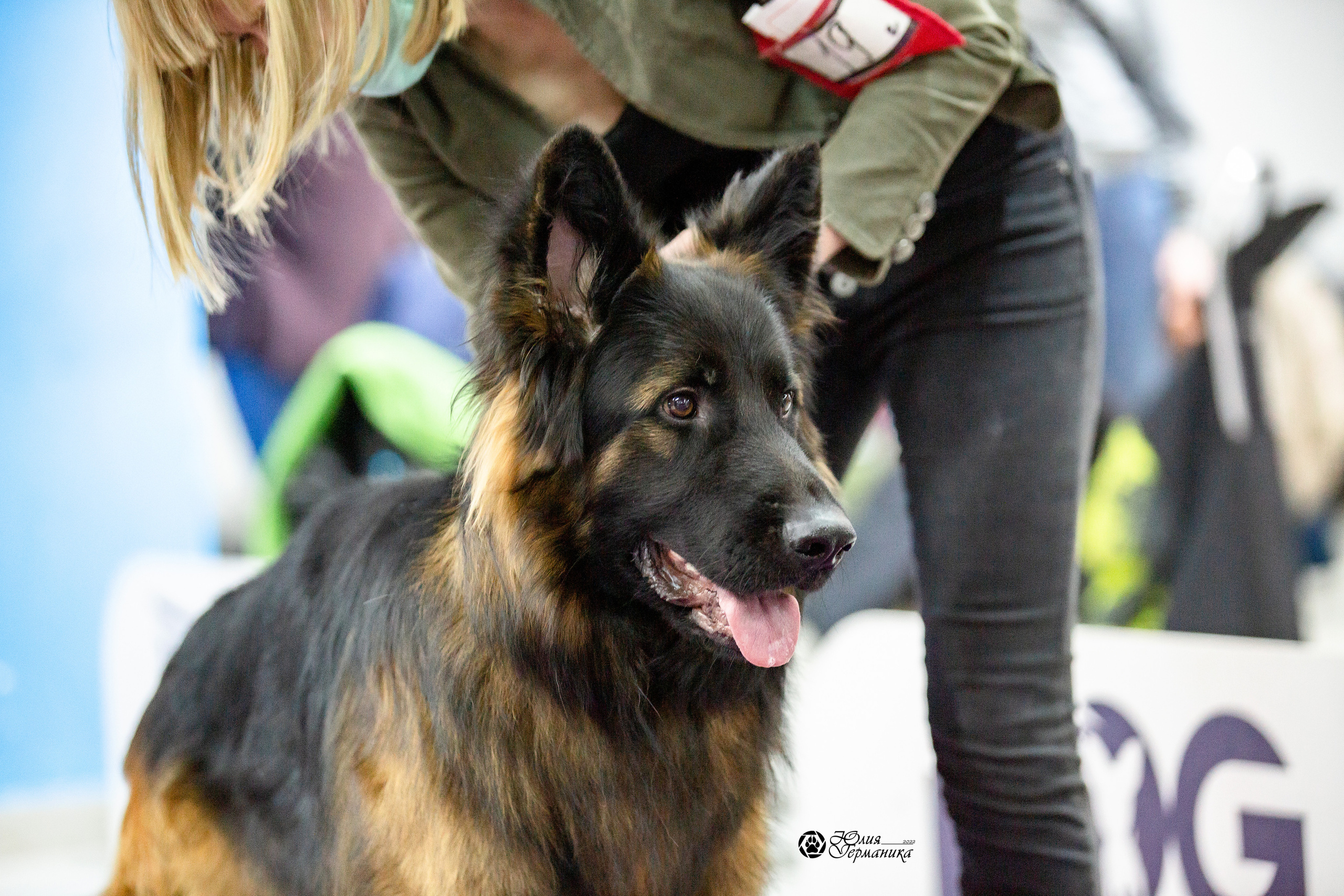 Чайна-Таун 29-30 января 2022. Фотограф-анималист Юлия Германика