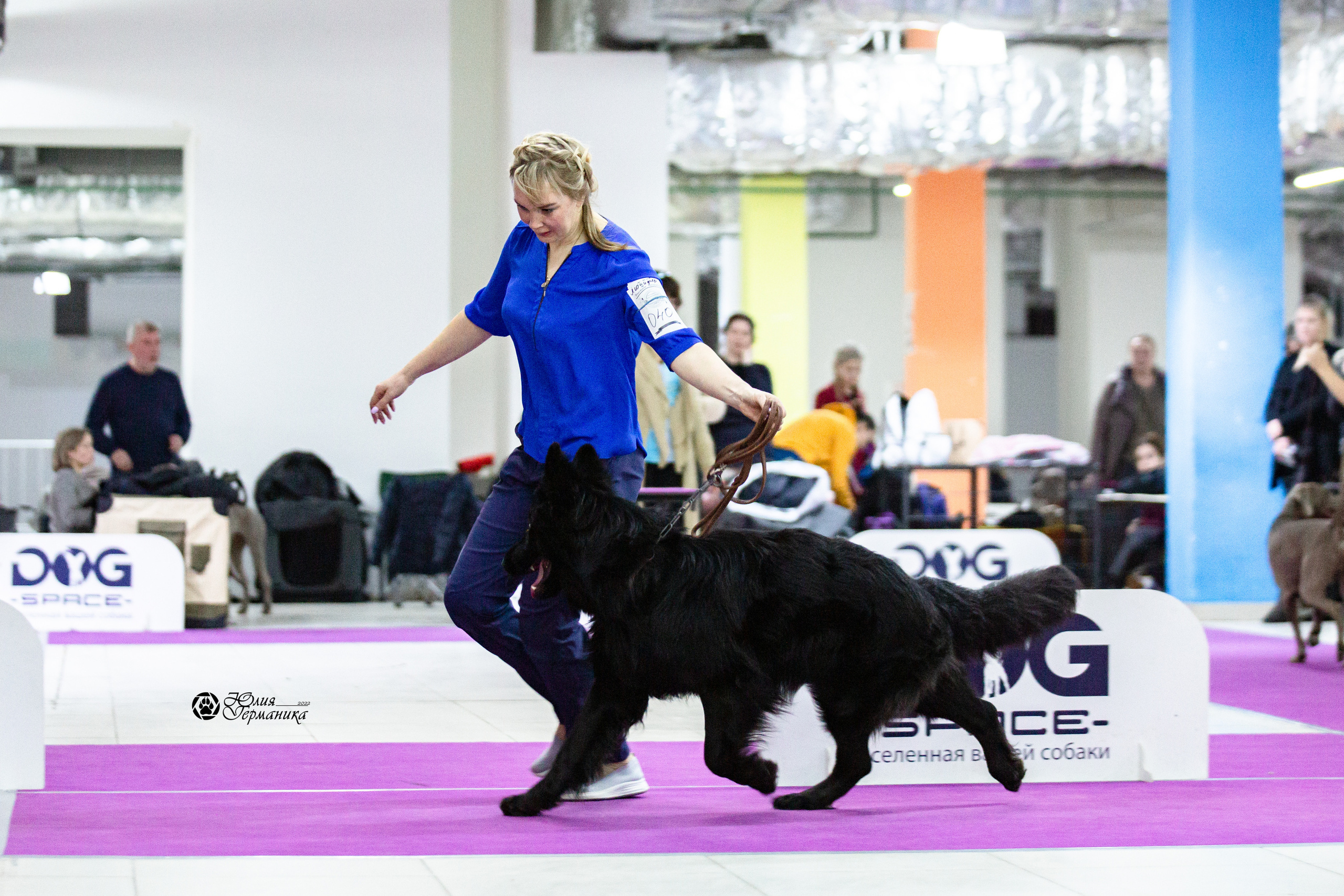 Чайна-Таун 12-13 февраля 2022. Фотограф-анималист Юлия Германика