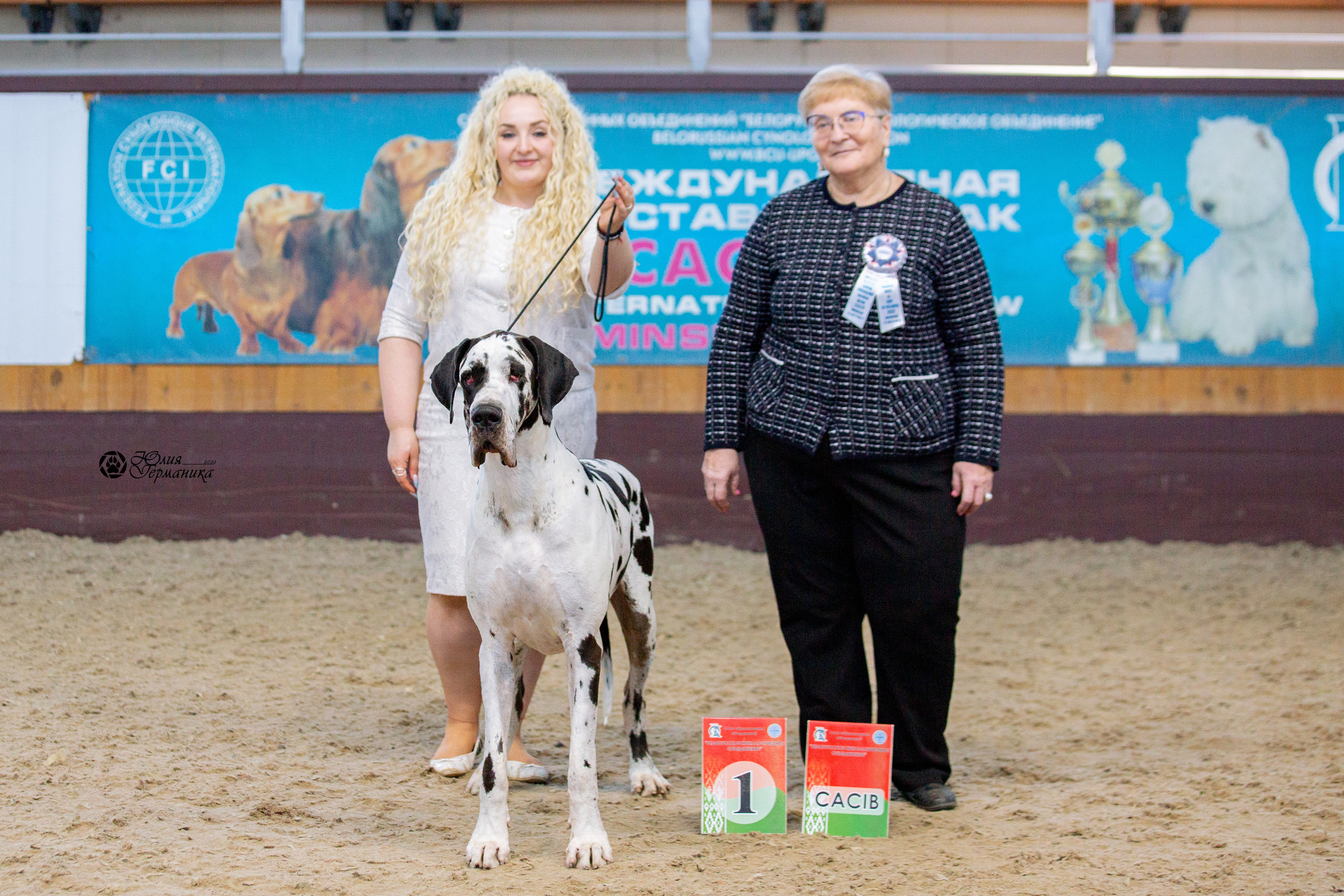 Минск 2хCACIB 5-6 марта 2022. Фотограф-анималист Юлия Германика