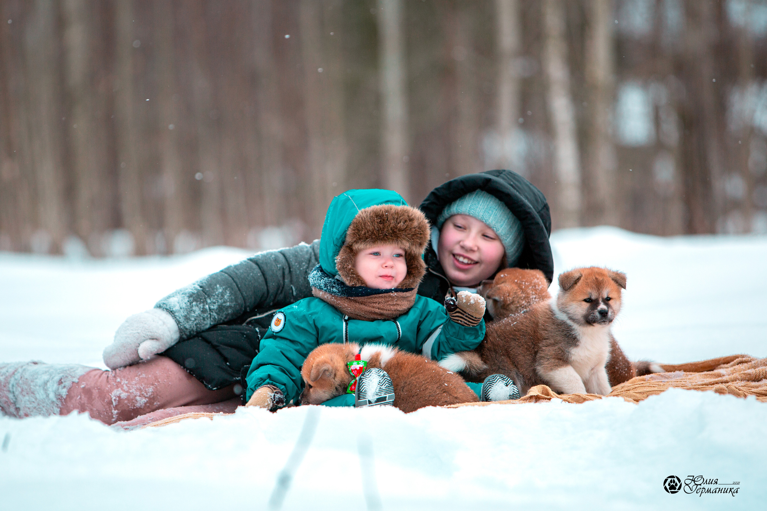 Свободная съемка. Фотограф-анималист Юлия Германика