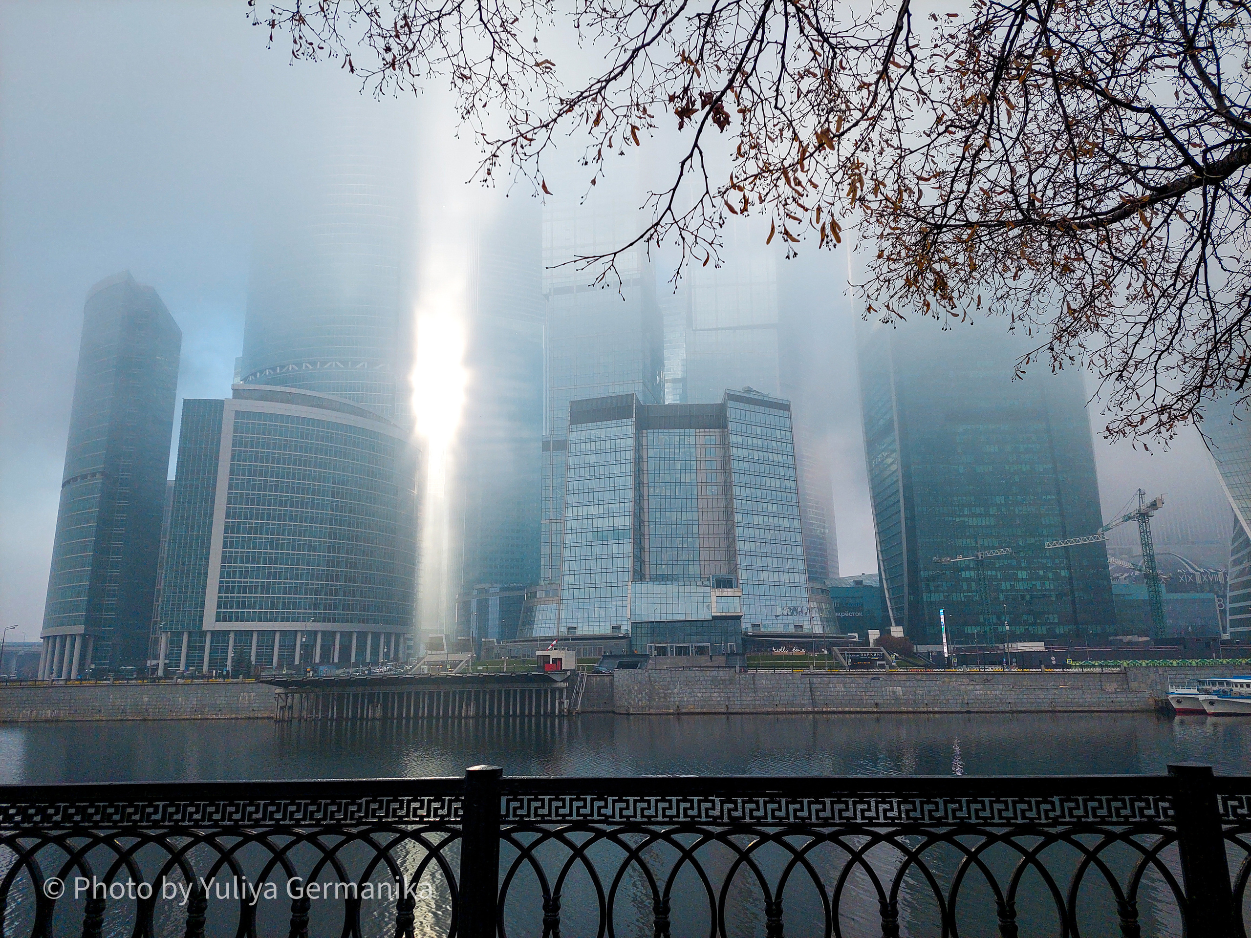 Разные фото на телефон.Города,природа. Фотограф-анималист Юлия Германика