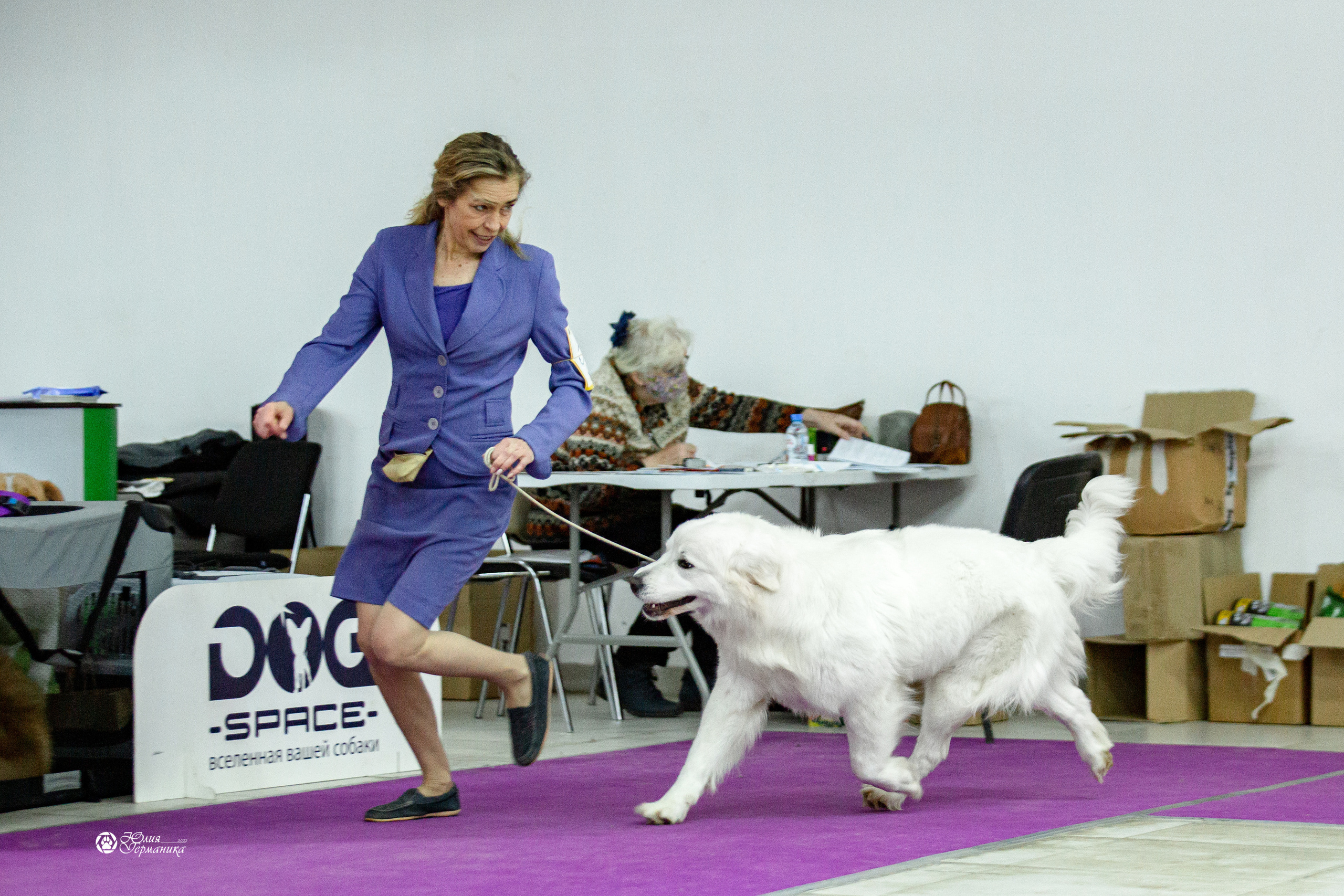 Чайна-Таун 29-30 января 2022. Фотограф-анималист Юлия Германика