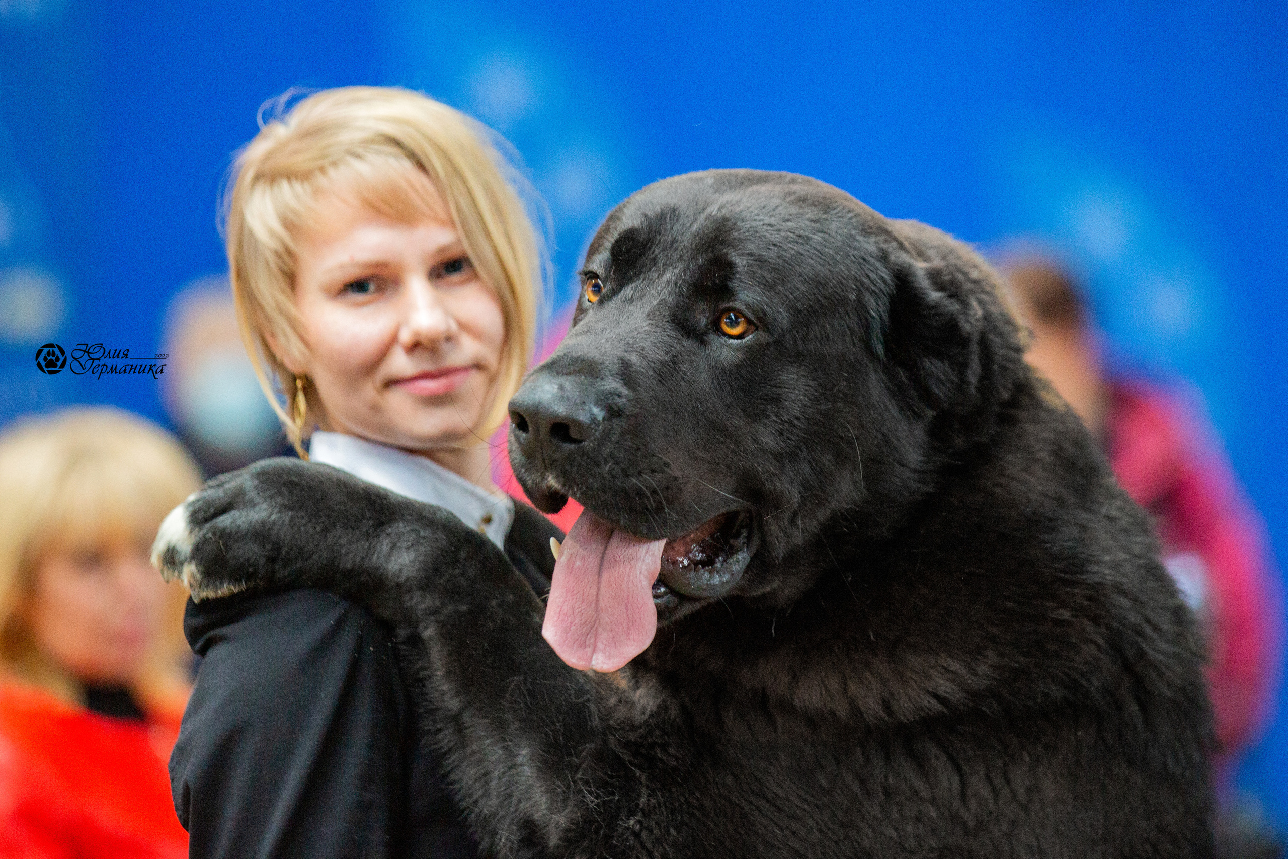 Минск 2хCACIB 5-6 марта 2022. Фотограф-анималист Юлия Германика