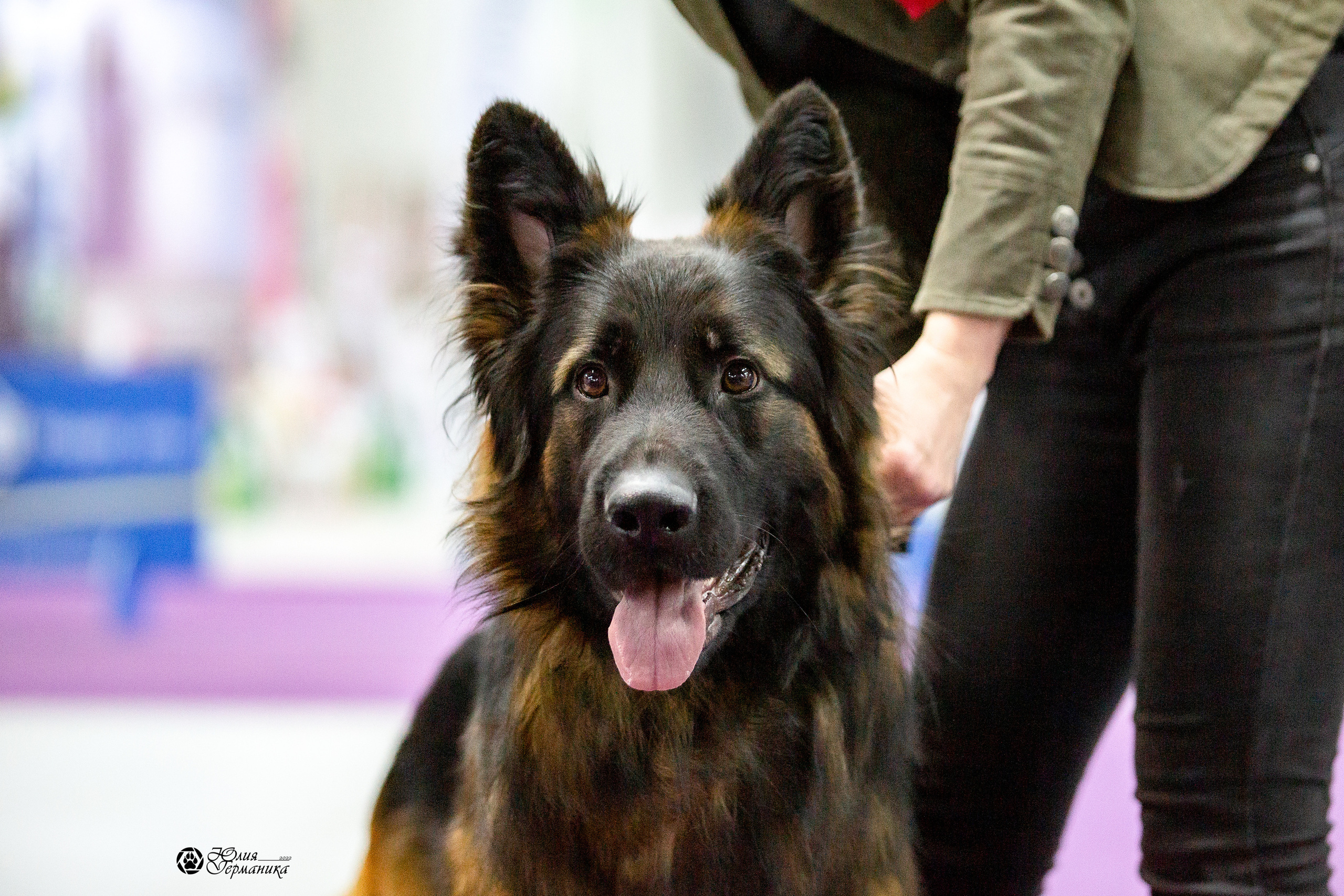 Чайна-Таун 29-30 января 2022. Фотограф-анималист Юлия Германика