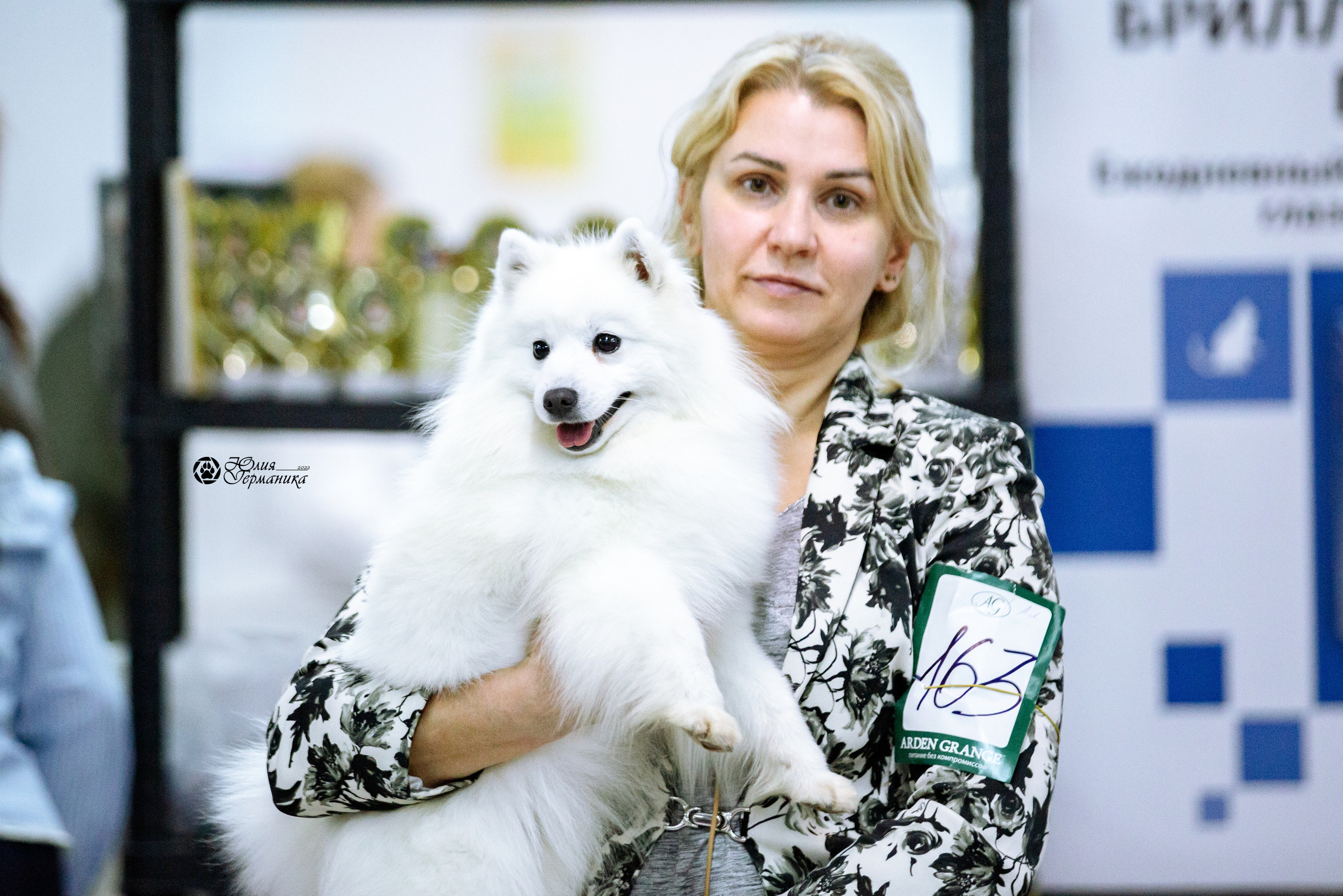 Чайна-Таун 23 февраля 2022. Фотограф-анималист Юлия Германика