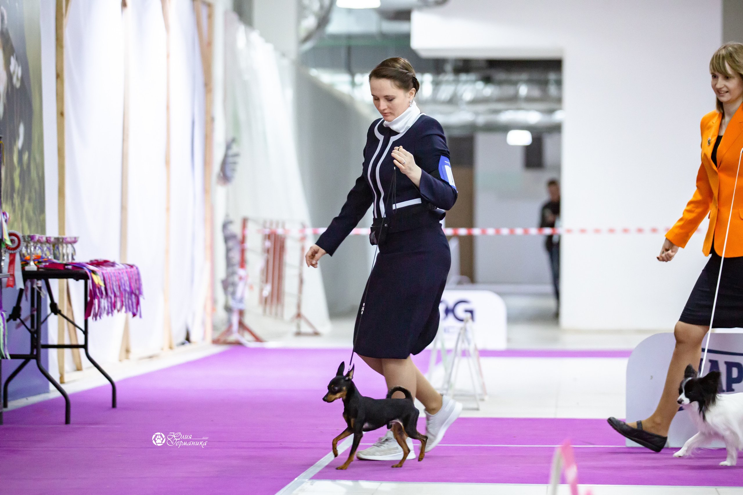 Чайна-Таун 12-13 февраля 2022. Фотограф-анималист Юлия Германика