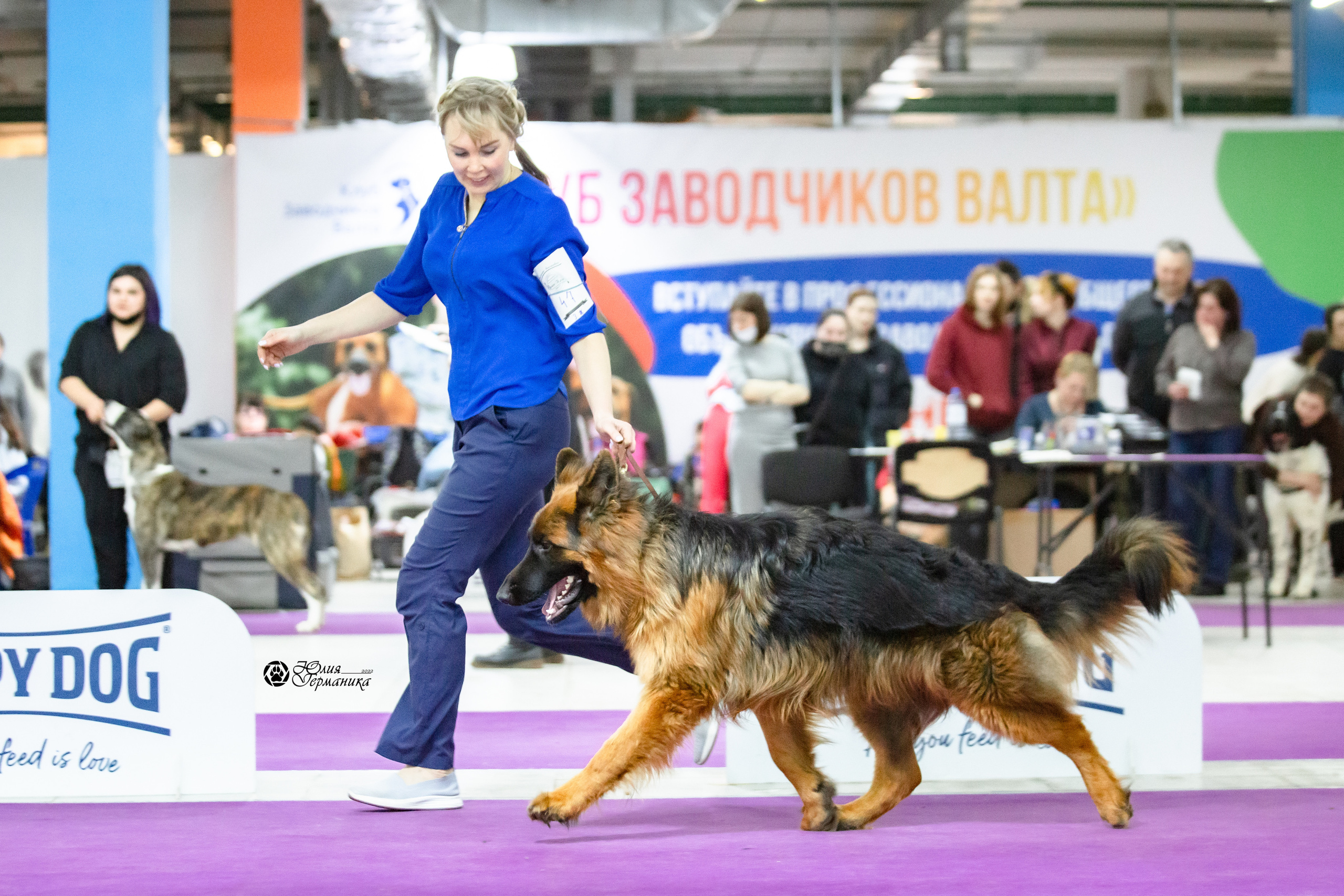 Чайна-Таун 12-13 февраля 2022. Фотограф-анималист Юлия Германика