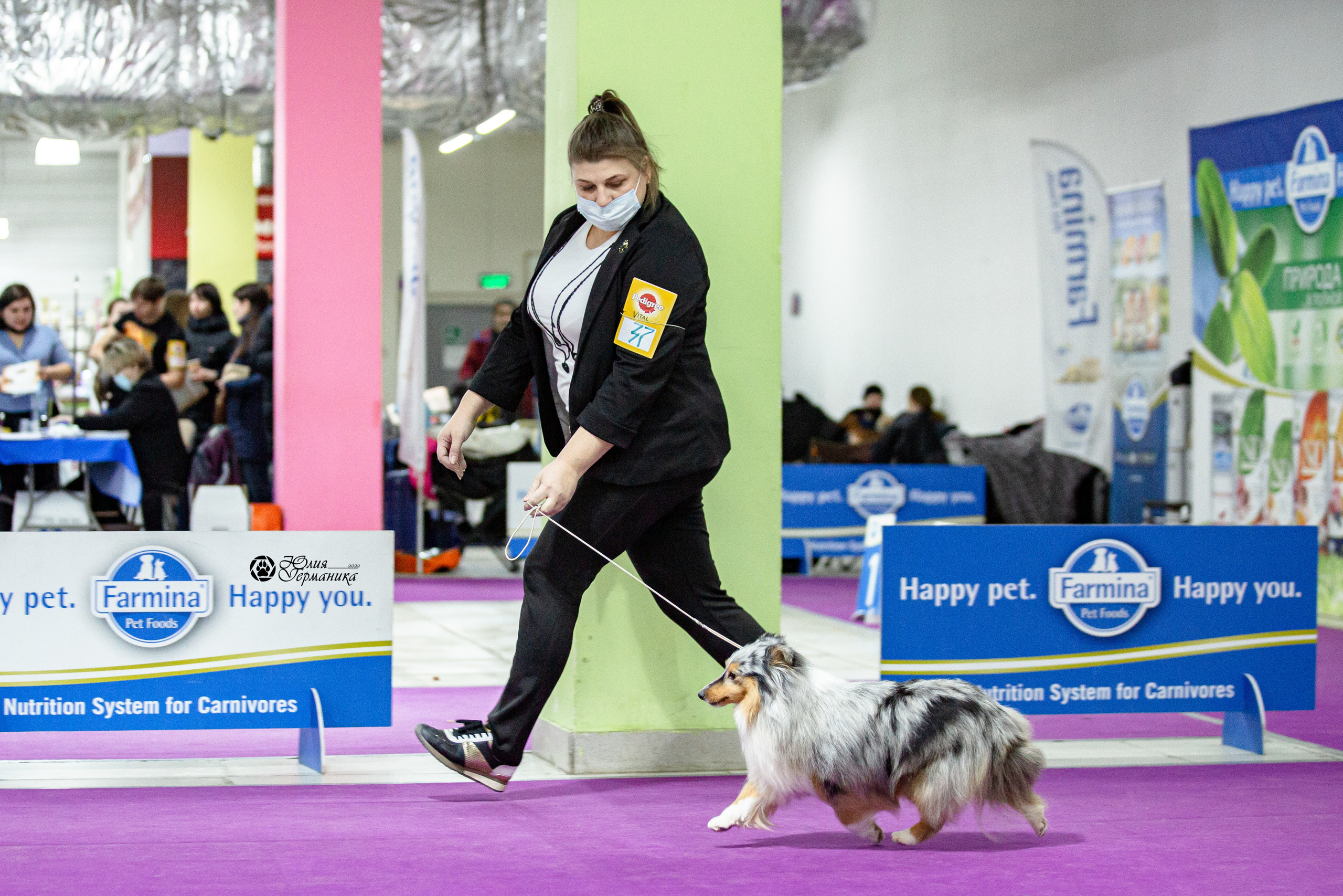 Чайна-Таун 29-30 января 2022. Фотограф-анималист Юлия Германика