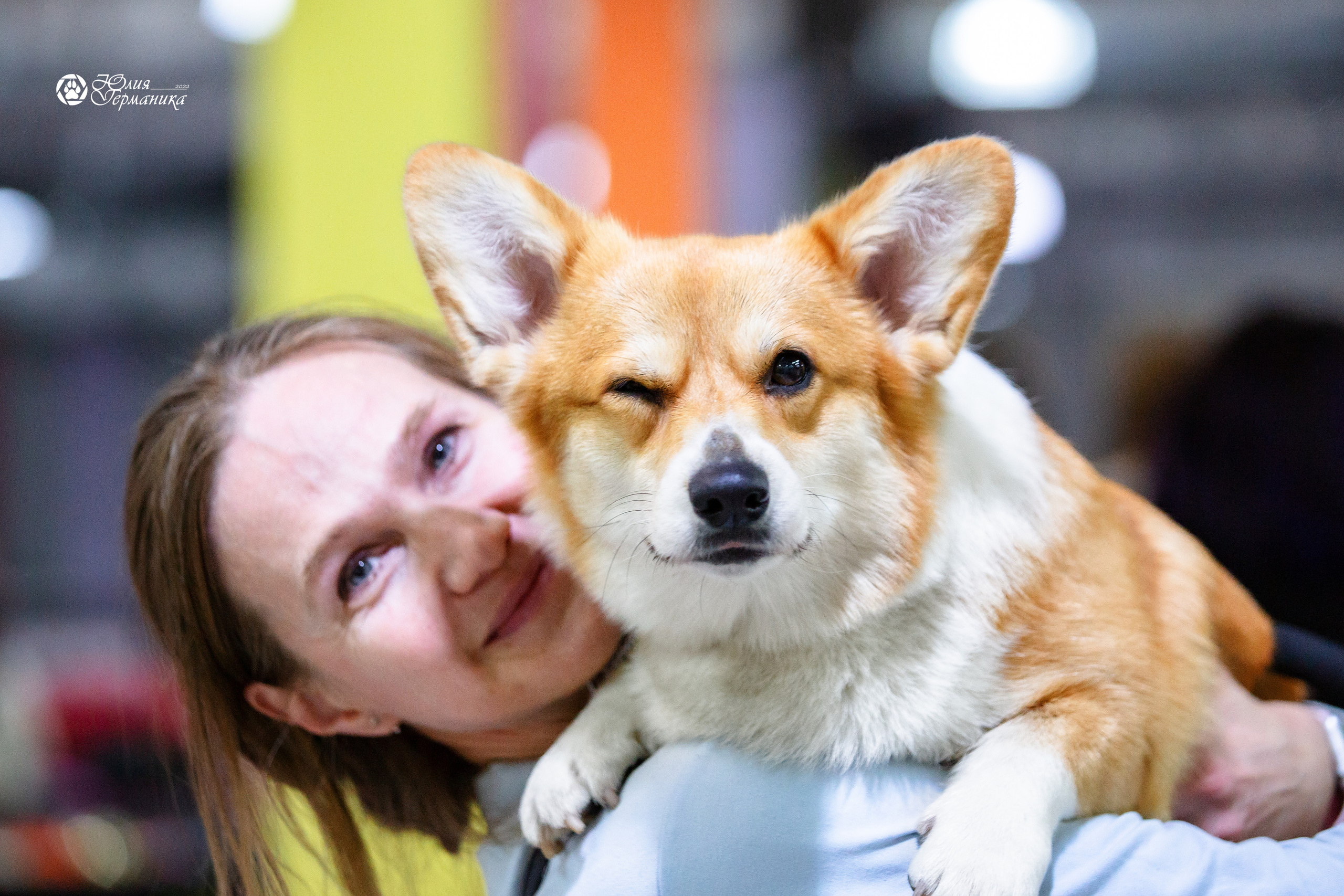 Чайна-Таун 23 февраля 2022. Фотограф-анималист Юлия Германика
