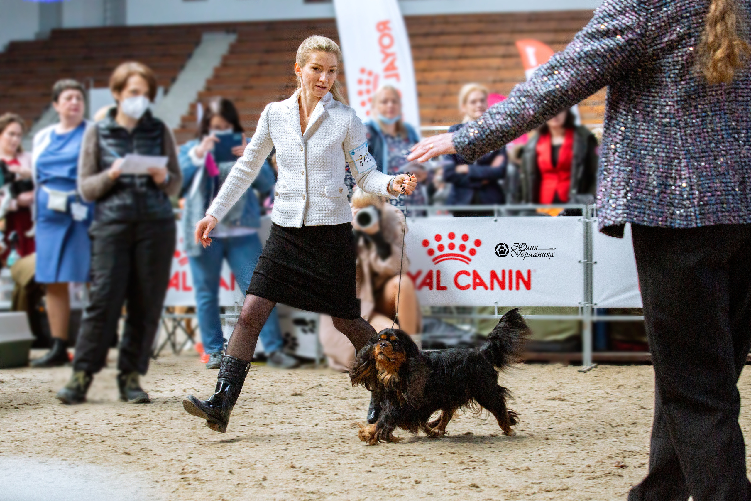 Минск 2хCACIB 5-6 марта 2022. Фотограф-анималист Юлия Германика