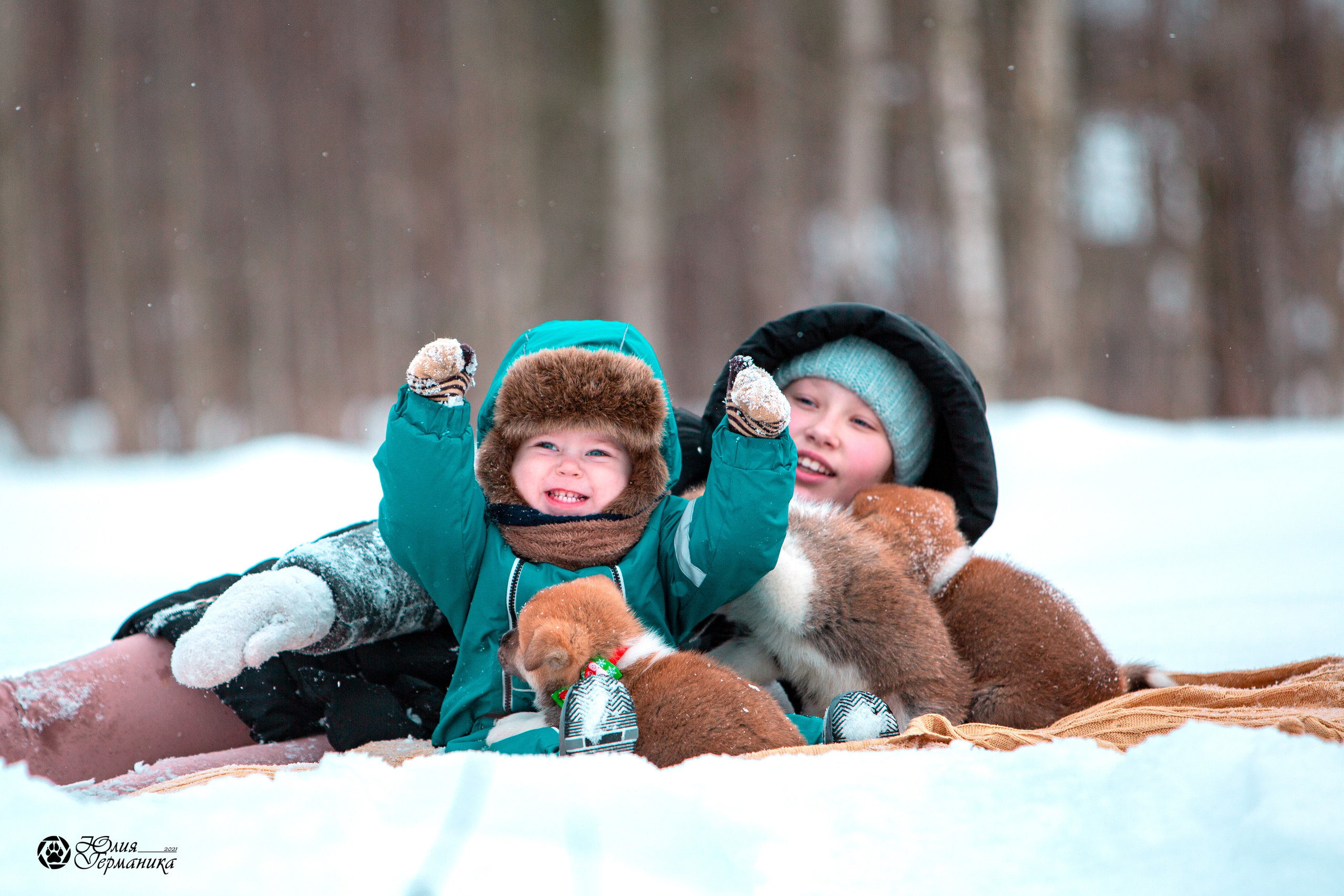 Свободная съемка. Фотограф-анималист Юлия Германика