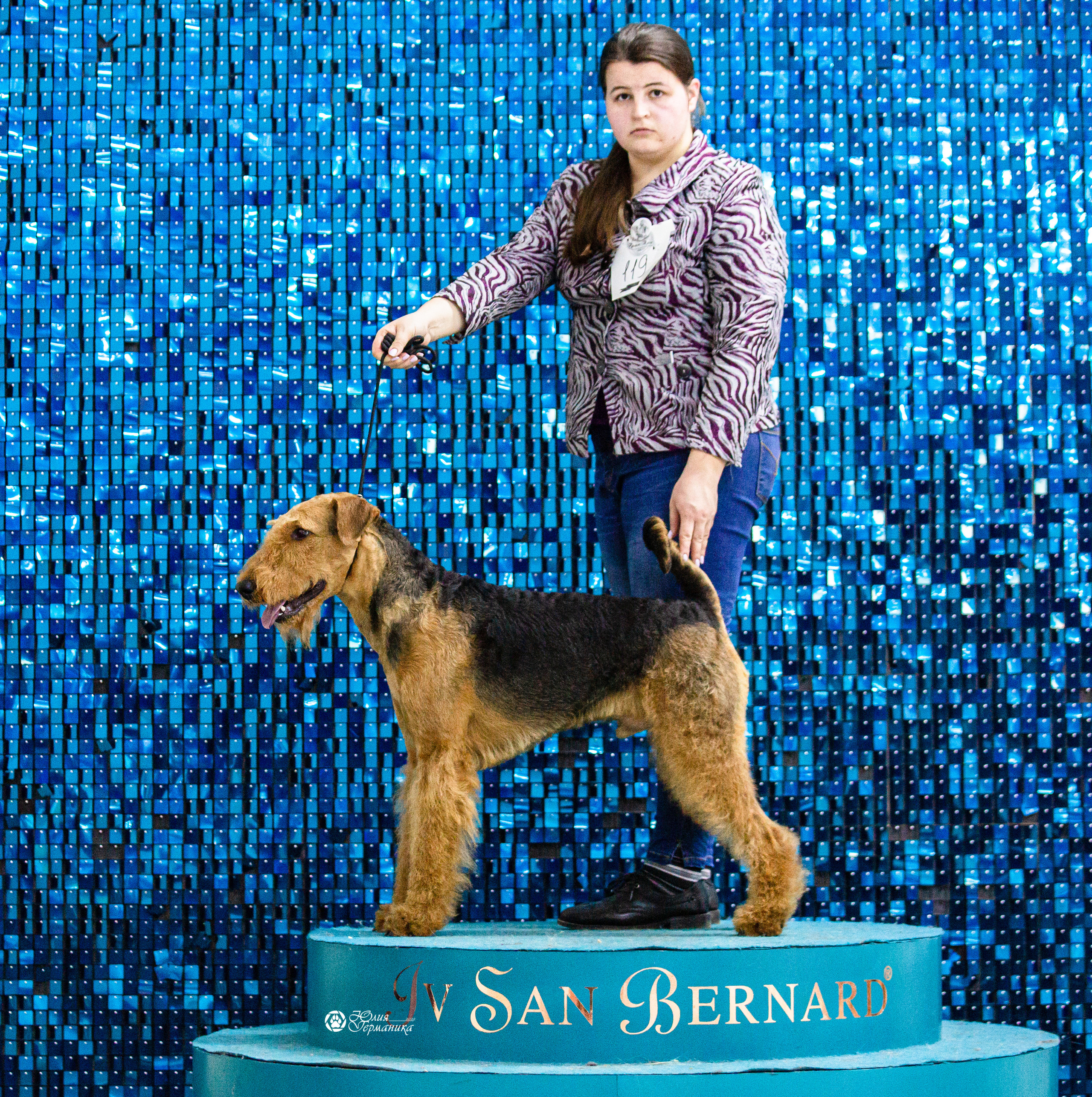 Чайна-Таун 12-13 февраля 2022. Фотограф-анималист Юлия Германика