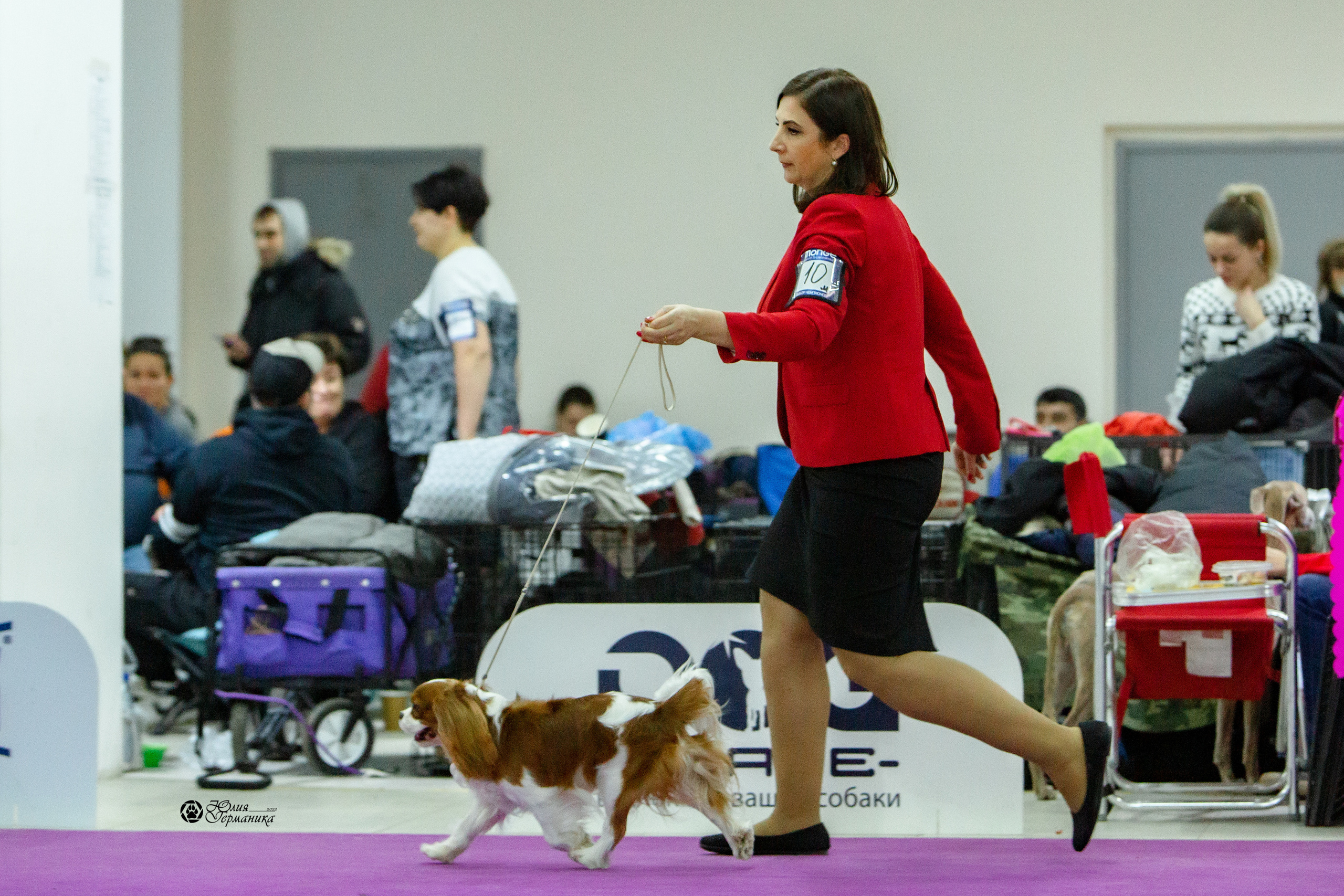 Чайна-Таун 8 января 2022. Фотограф-анималист Юлия Германика