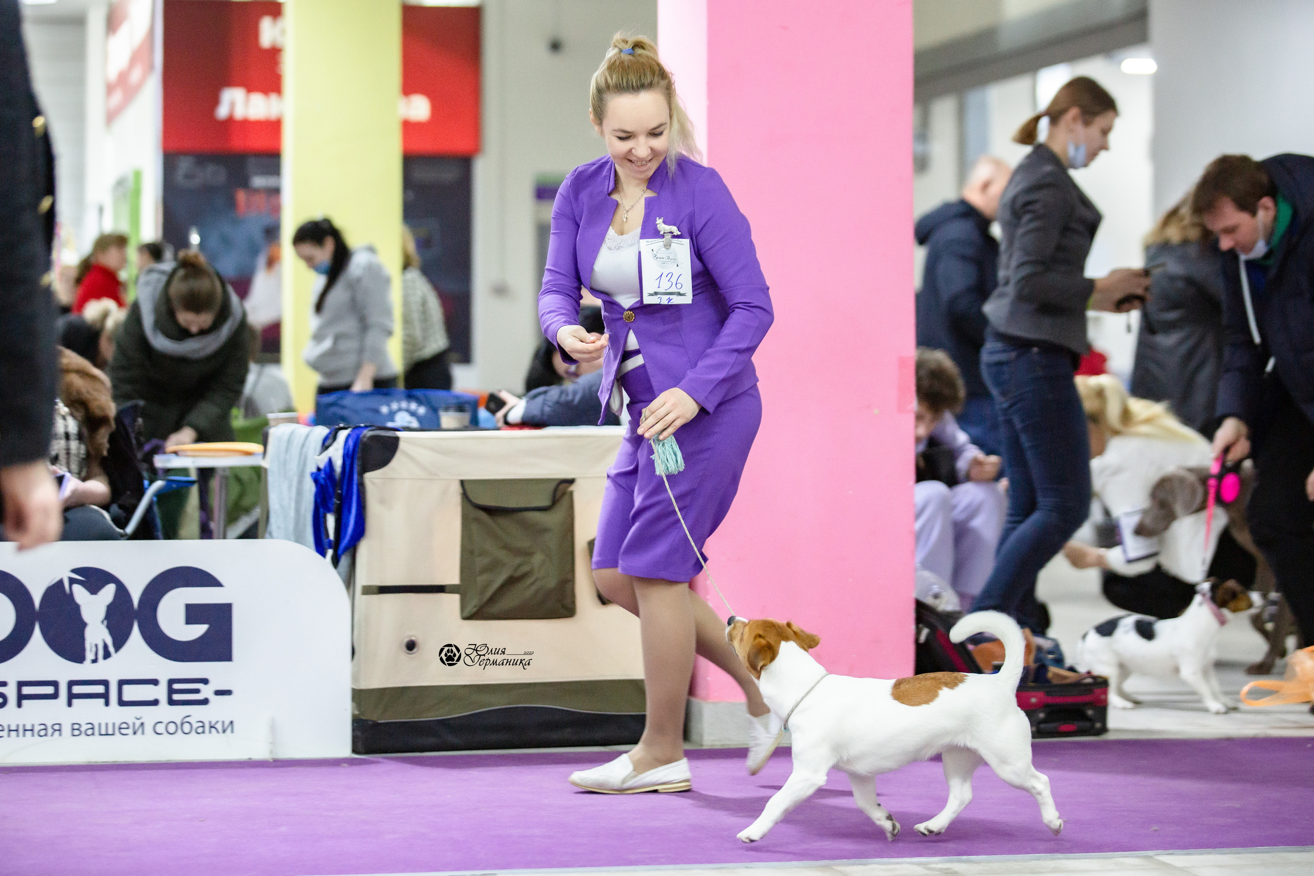 Чайна-Таун 12-13 февраля 2022. Фотограф-анималист Юлия Германика