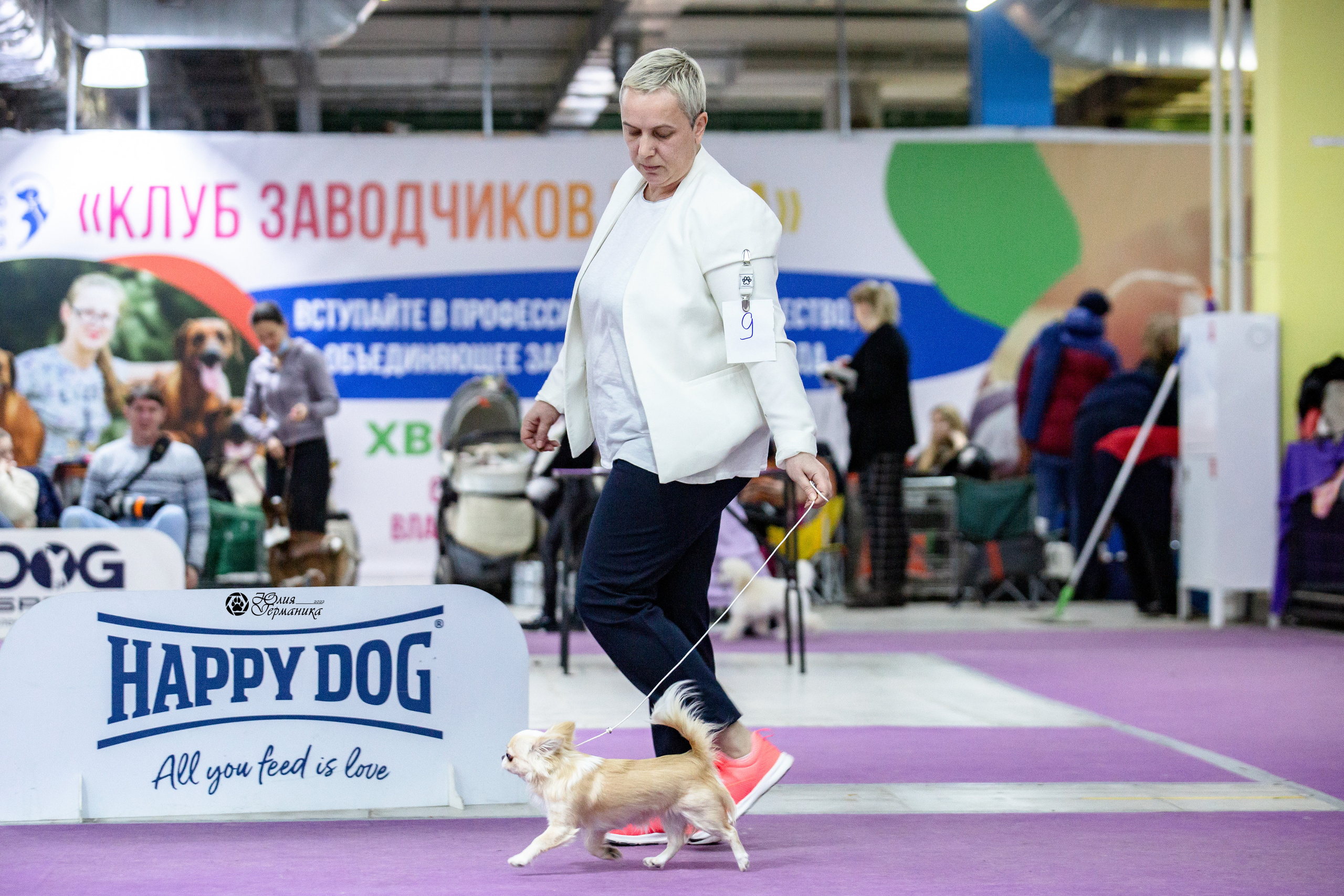 Чайна-Таун 12-13 февраля 2022. Фотограф-анималист Юлия Германика