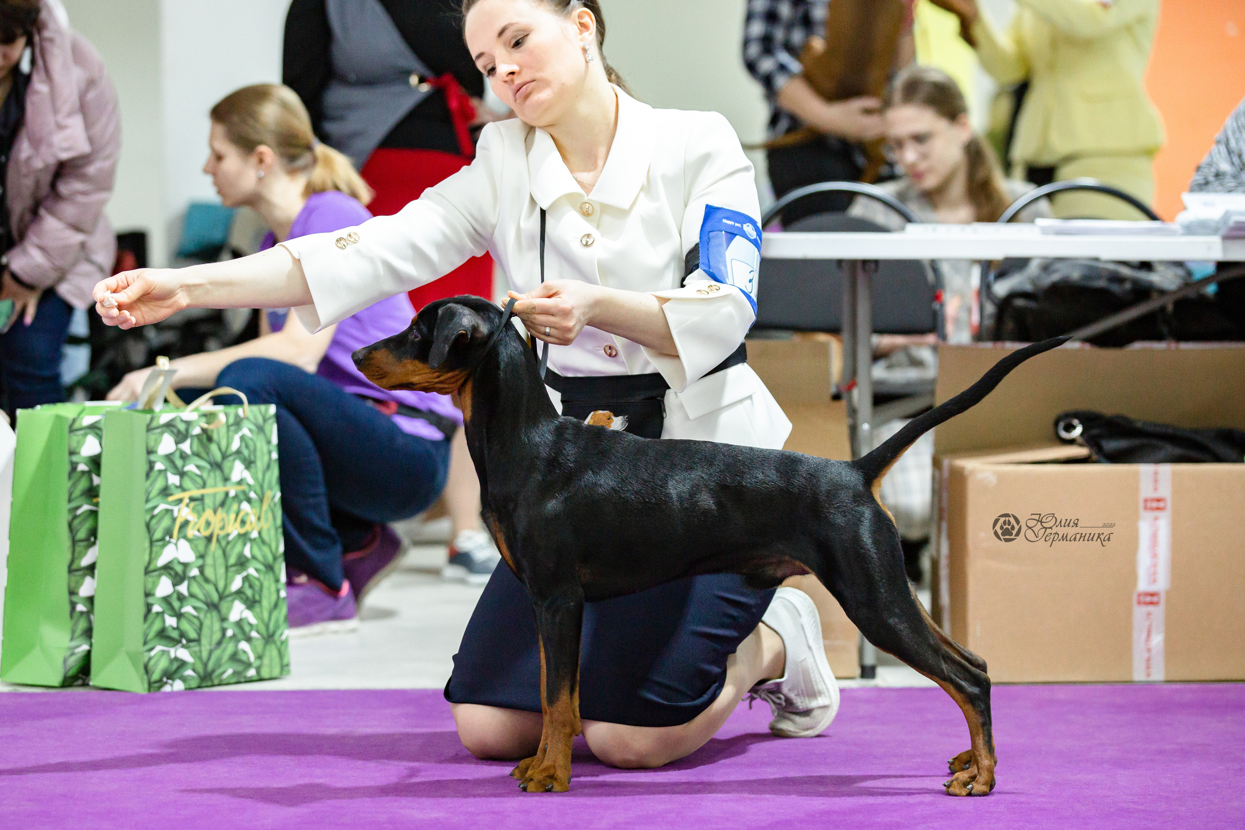 Чайна-Таун 24 и 27 марта 2022. Фотограф-анималист Юлия Германика
