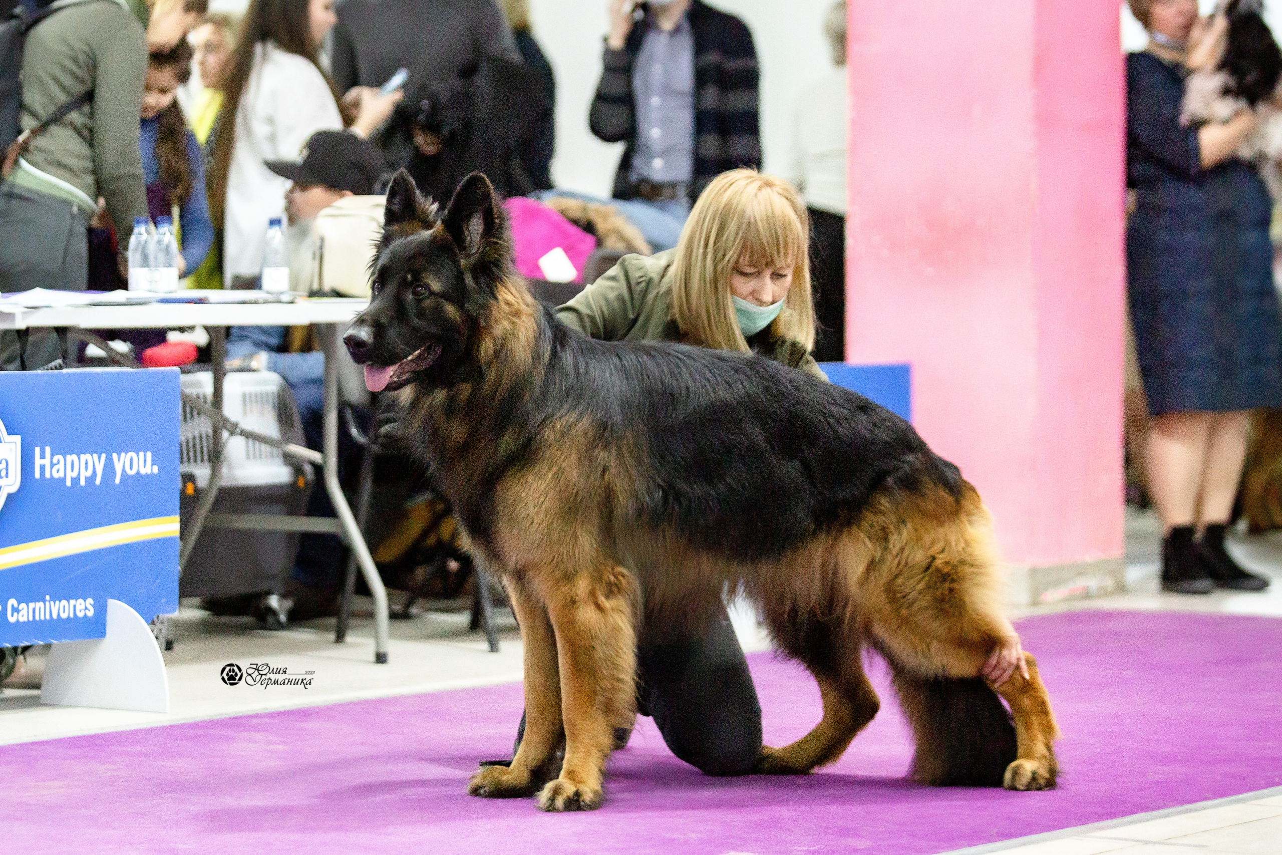 Чайна-Таун 29-30 января 2022. Фотограф-анималист Юлия Германика