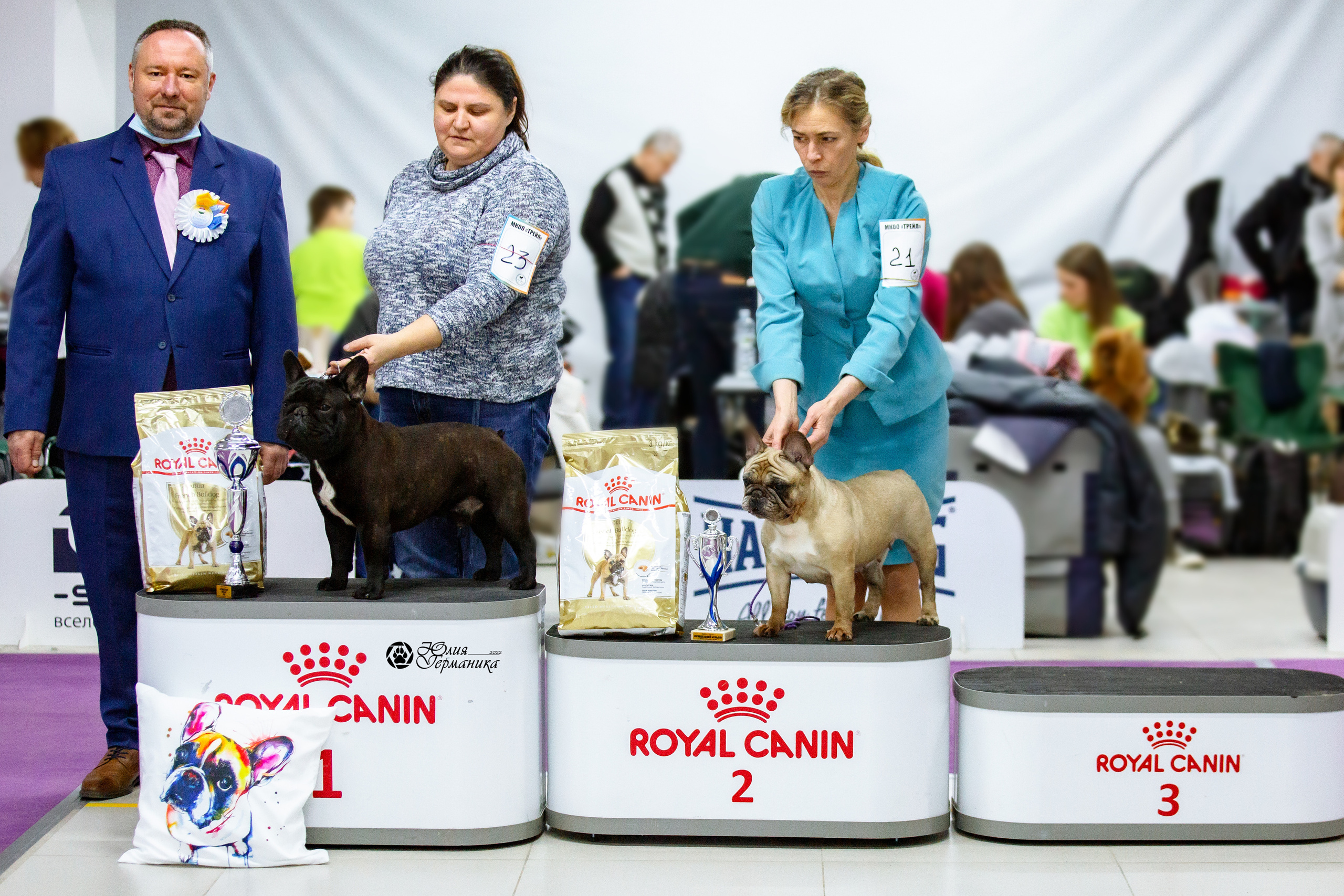 Чайна-Таун 27 февраля 2022. Фотограф-анималист Юлия Германика