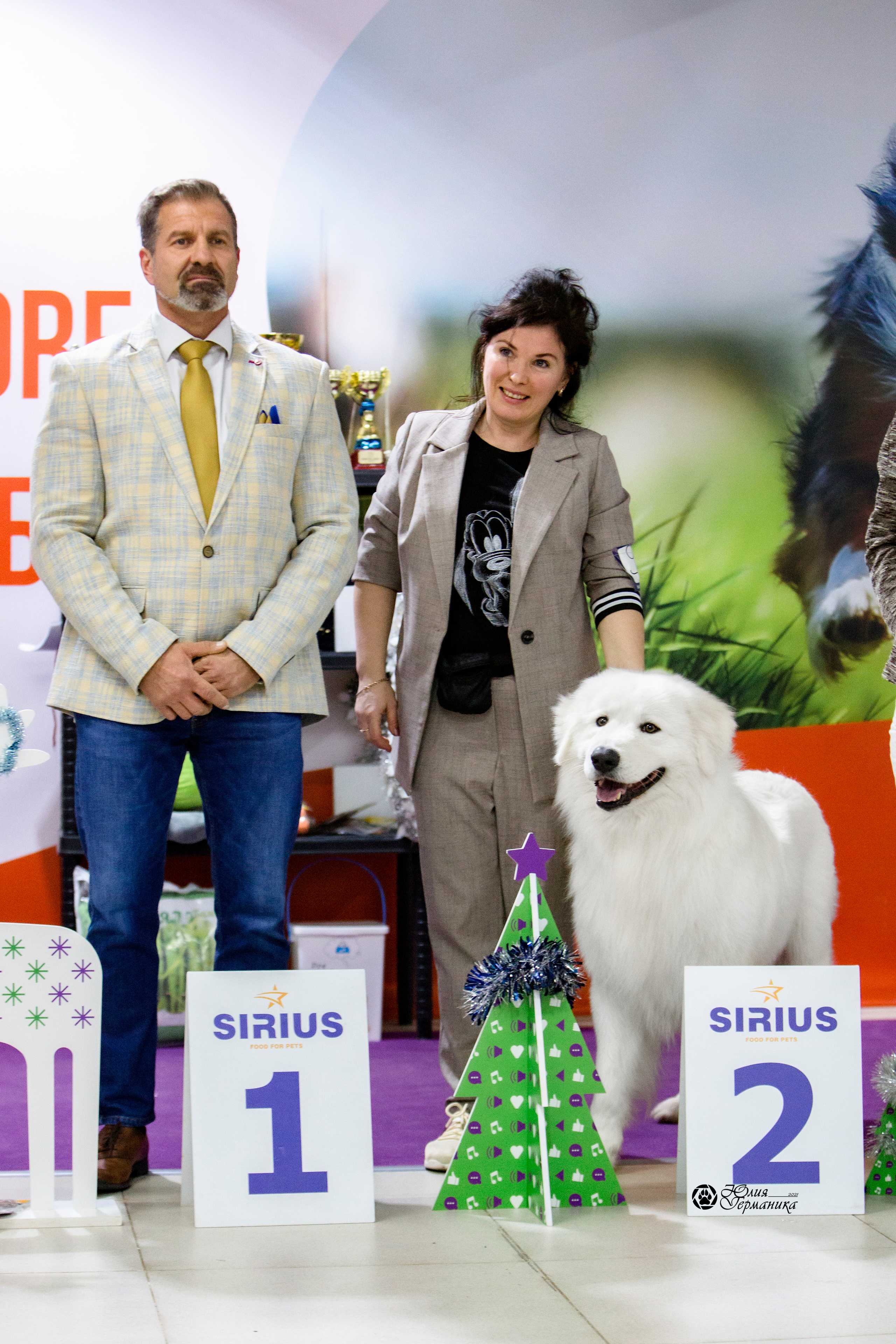 Чайна-Таун 18,26 и 29 декабря 2021. Фотограф-анималист Юлия Германика