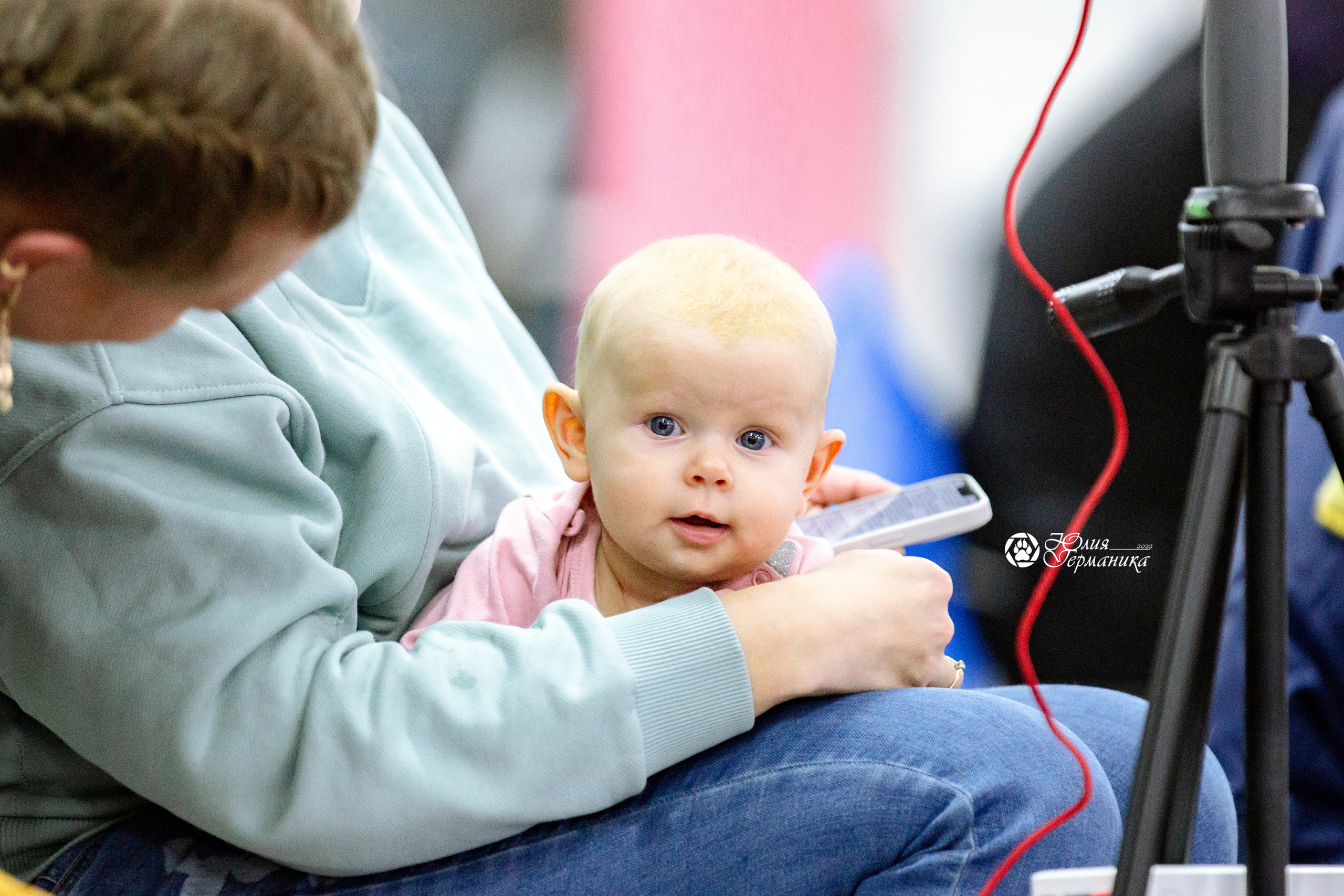 Чайна-Таун 23 февраля 2022. Фотограф-анималист Юлия Германика