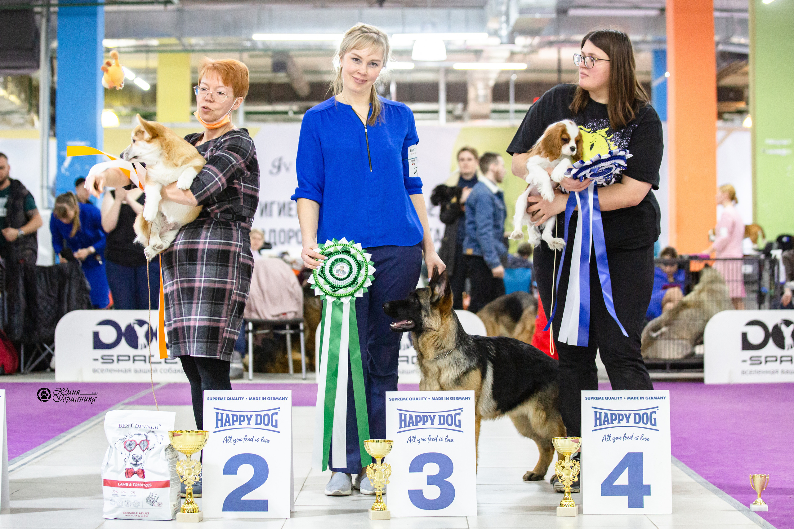 Чайна-Таун 12-13 февраля 2022. Фотограф-анималист Юлия Германика