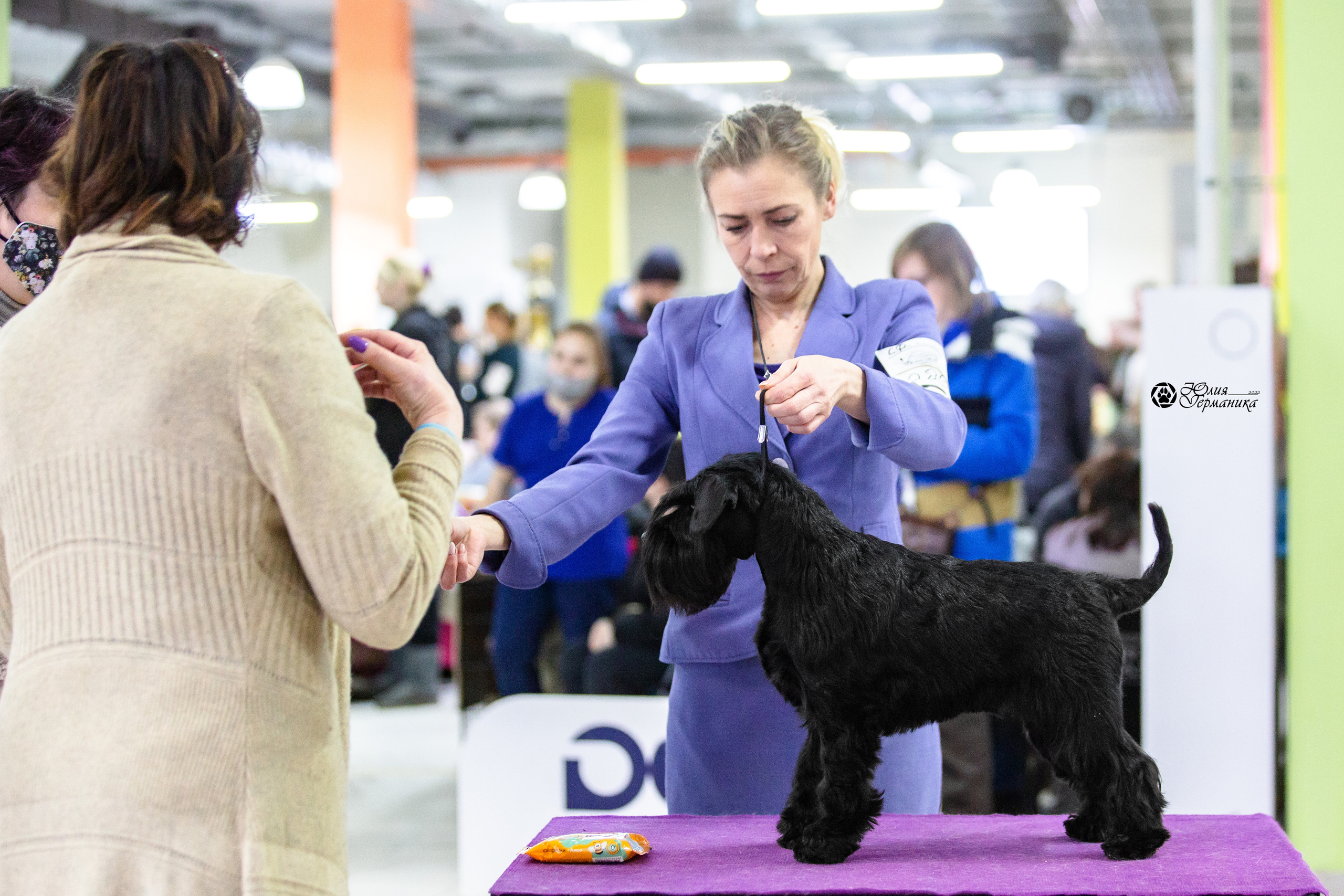 Чайна-Таун 12-13 февраля 2022. Фотограф-анималист Юлия Германика