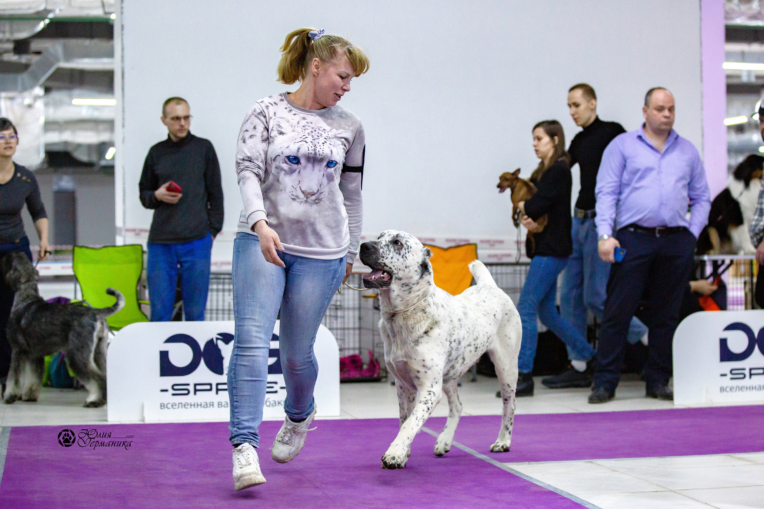 Чайна-Таун 24 и 27 марта 2022. Фотограф-анималист Юлия Германика