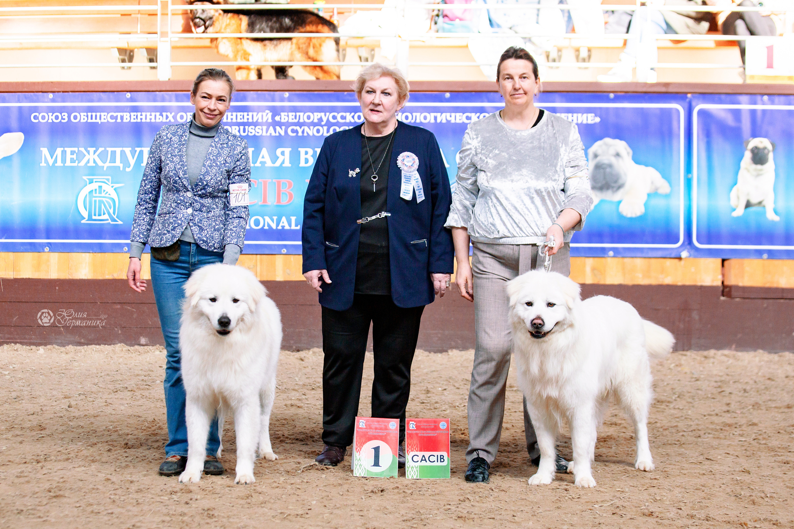 Минск 2хCACIB 5-6 марта 2022. Фотограф-анималист Юлия Германика