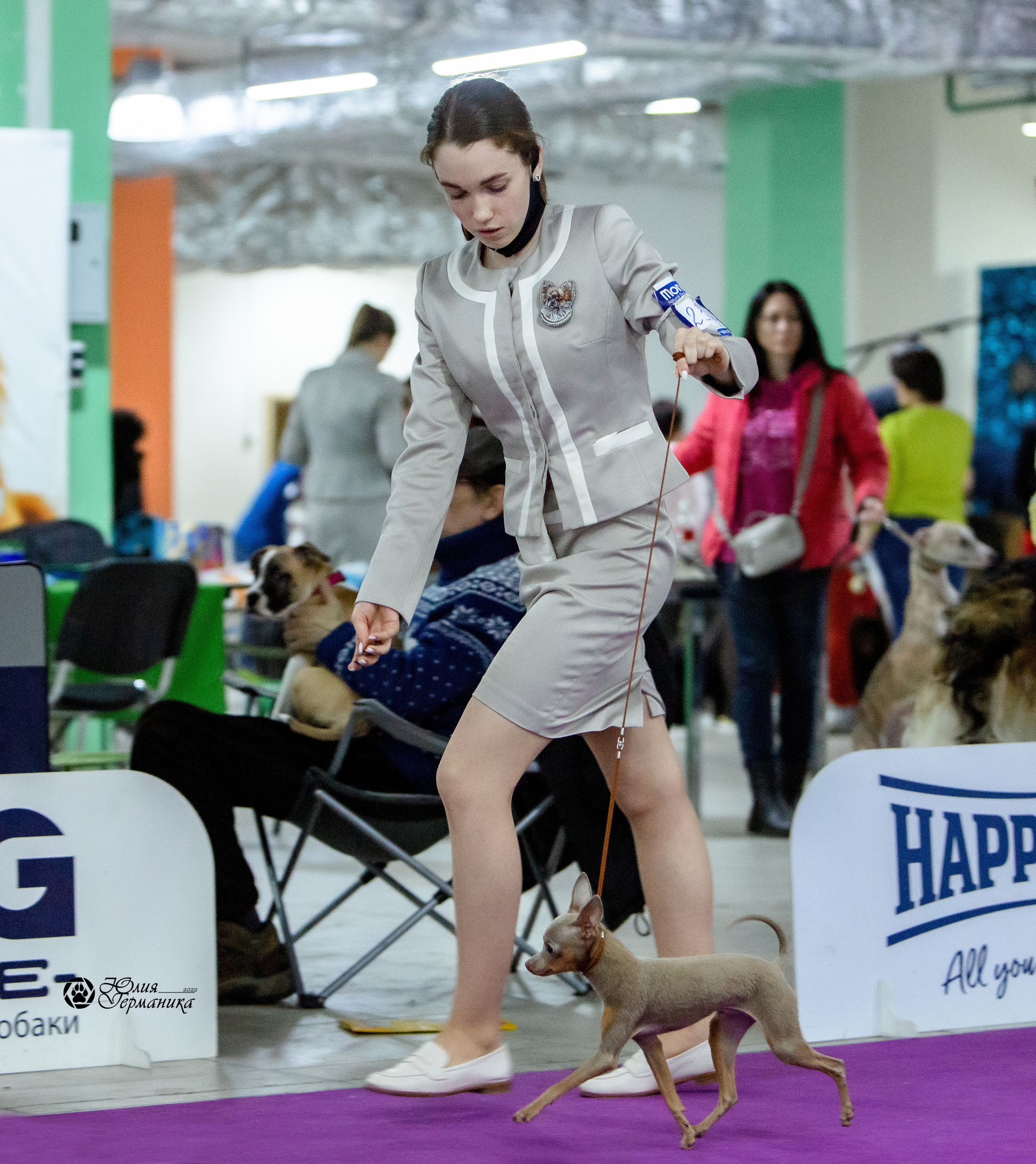 Чайна-Таун 8 января 2022. Фотограф-анималист Юлия Германика