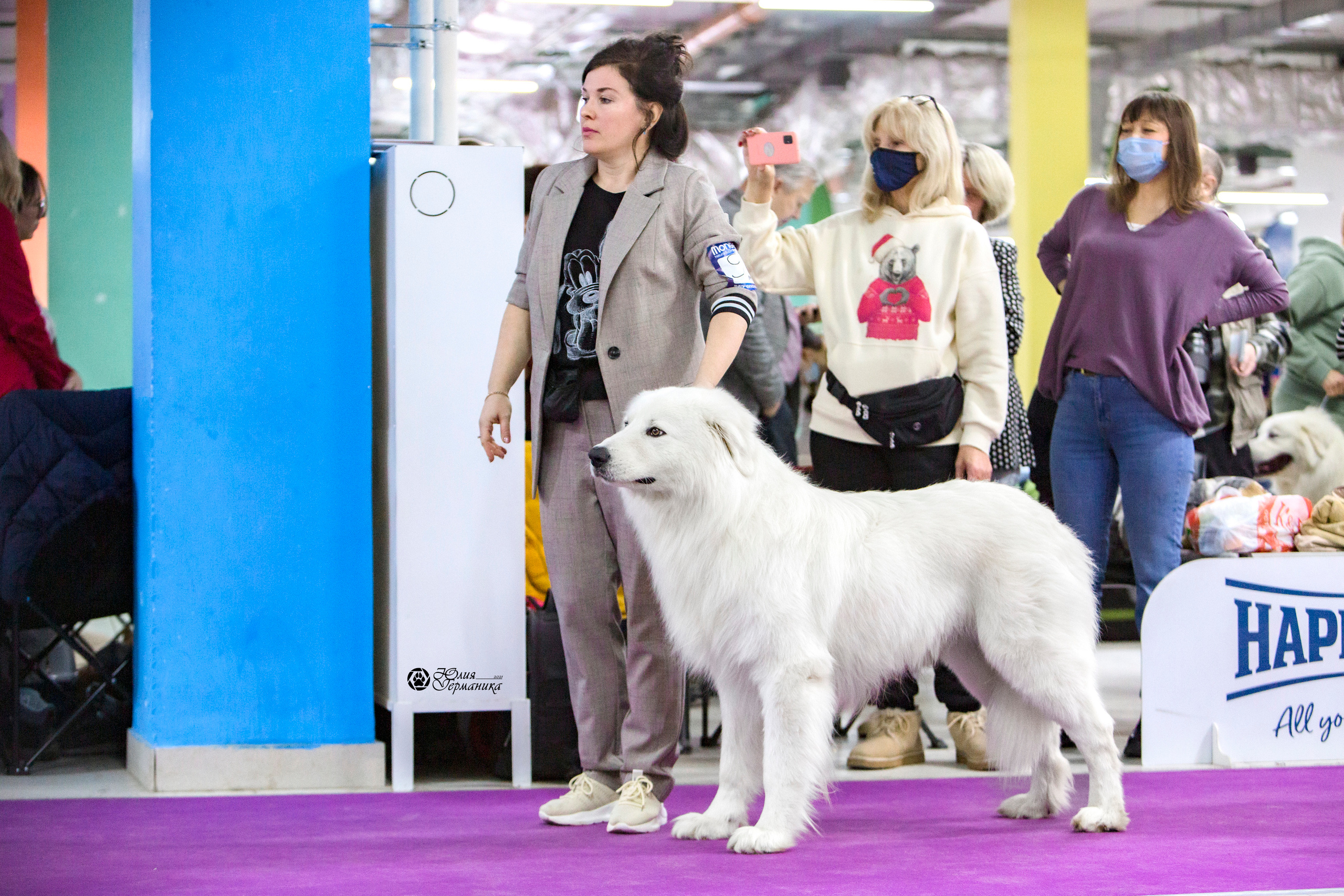 Чайна-Таун 18,26 и 29 декабря 2021. Фотограф-анималист Юлия Германика