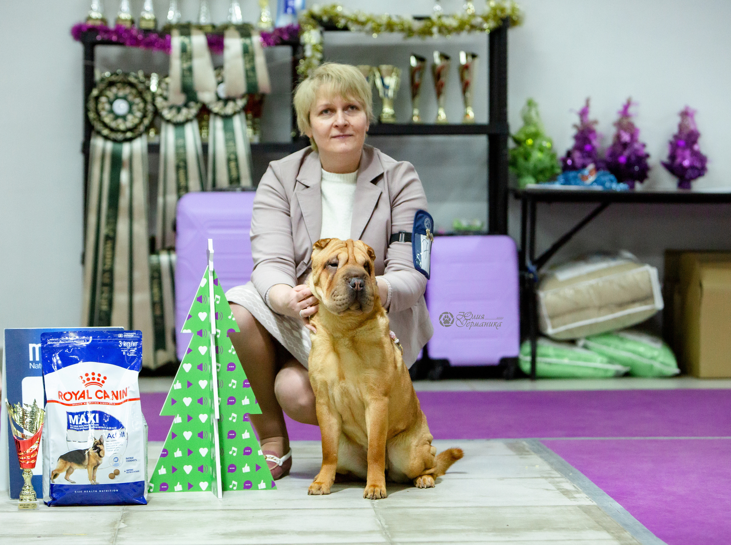 Чайна-Таун 8 января 2022. Фотограф-анималист Юлия Германика