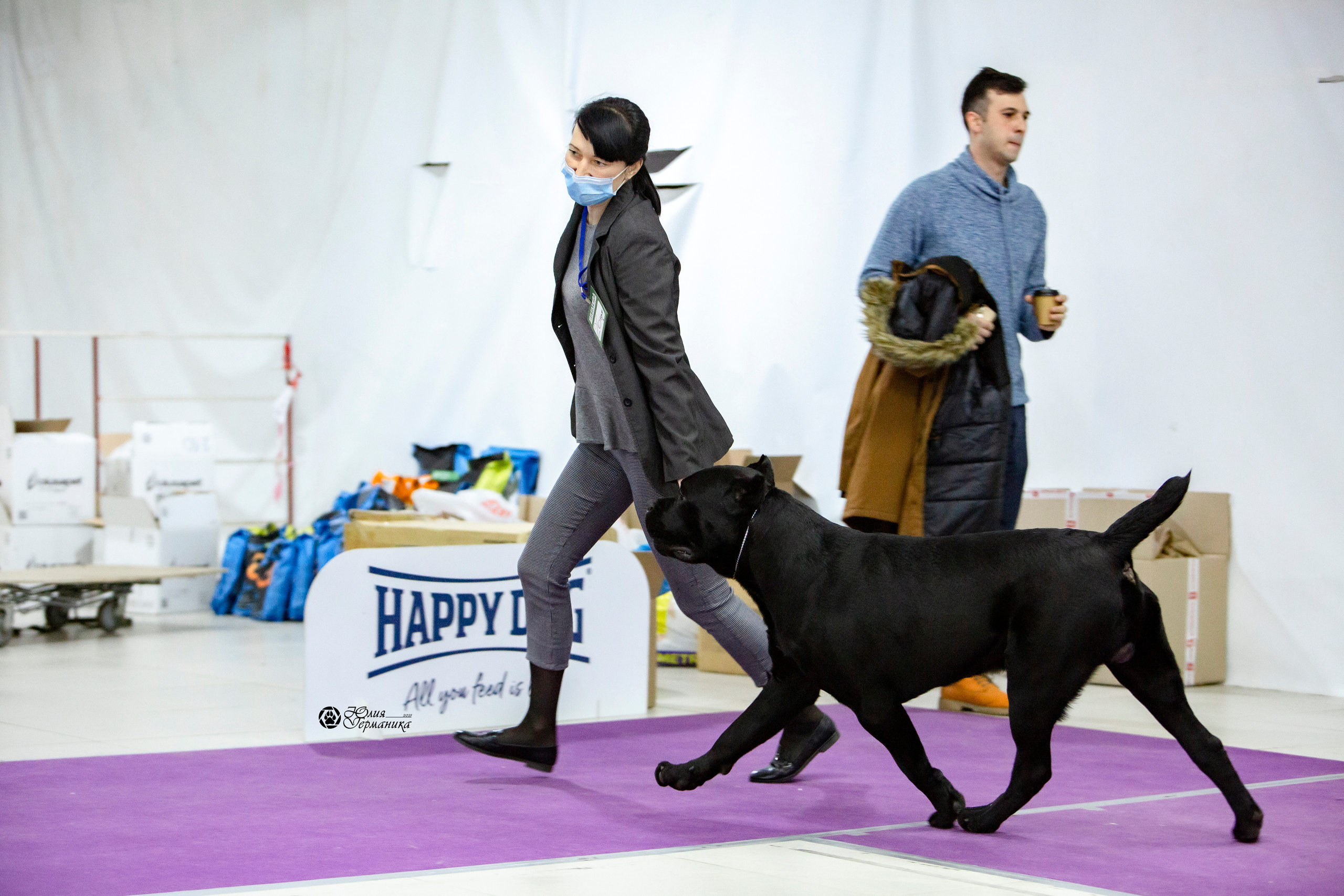 Чайна-Таун 18,26 и 29 декабря 2021. Фотограф-анималист Юлия Германика