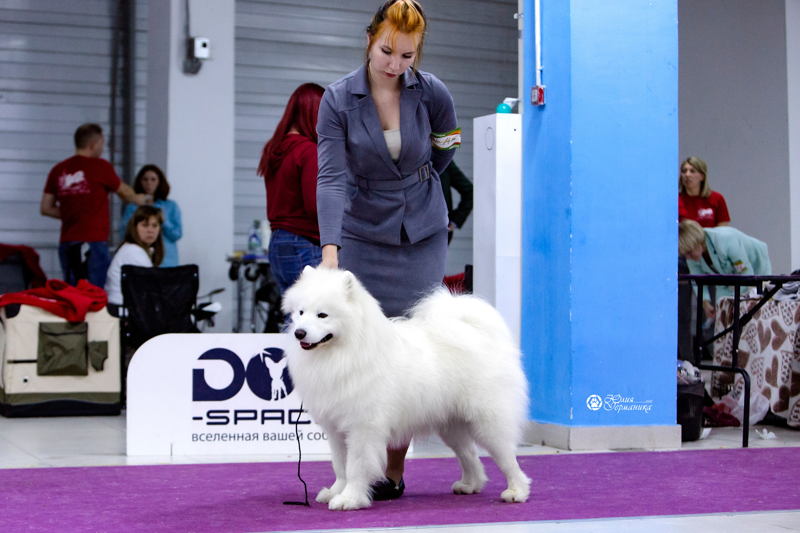 Чайна-Таун 18,26 и 29 декабря 2021. Фотограф-анималист Юлия Германика