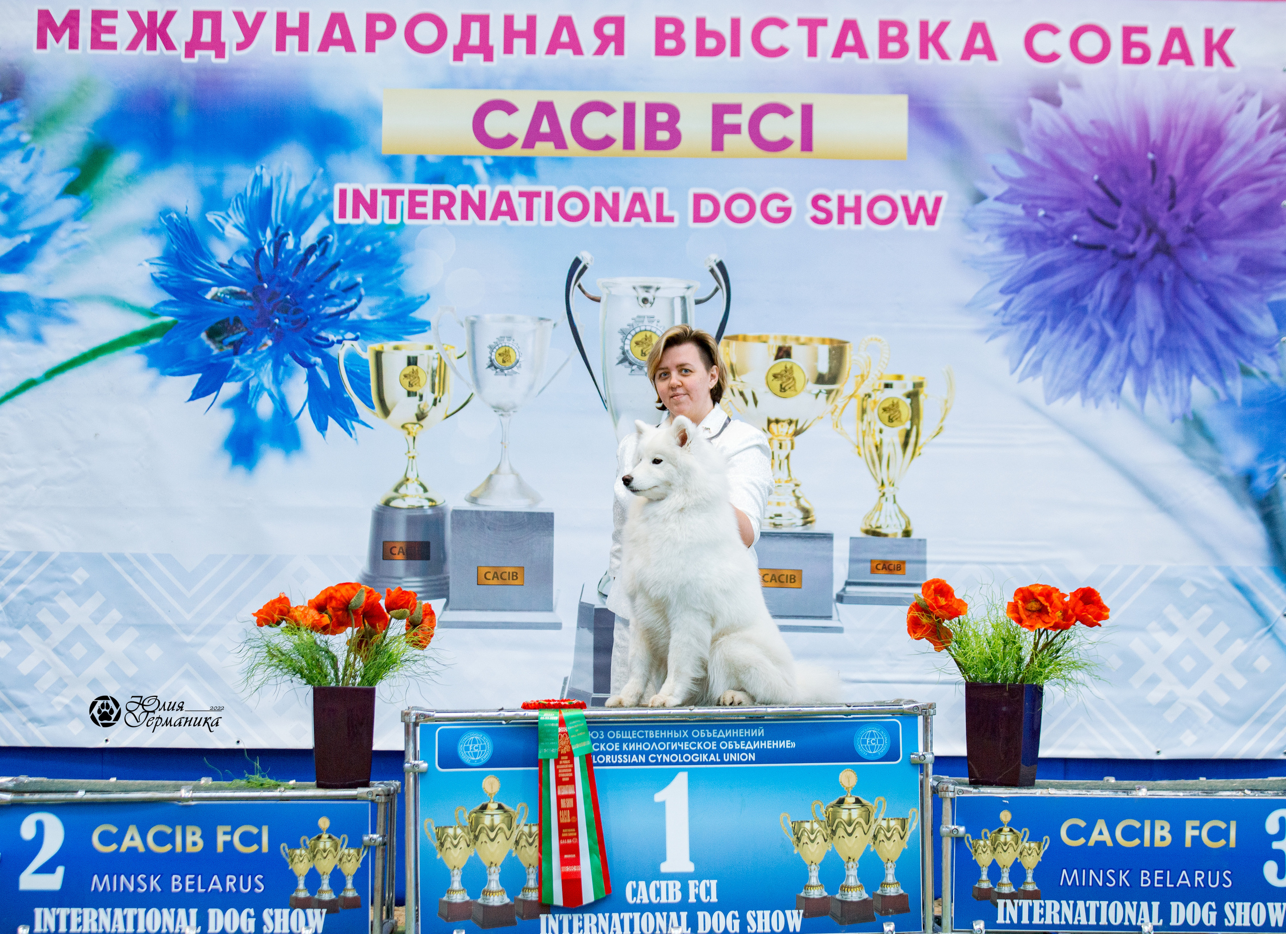 Минск 2хCACIB 5-6 марта 2022. Фотограф-анималист Юлия Германика