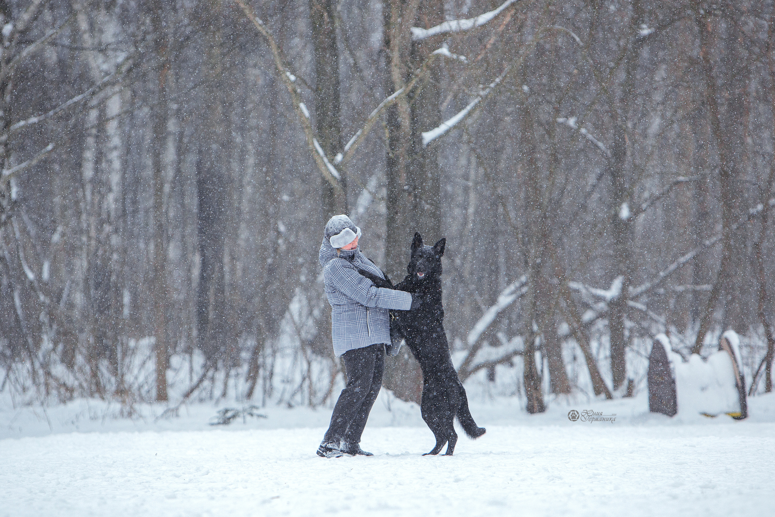 Свободная съемка. Фотограф-анималист Юлия Германика