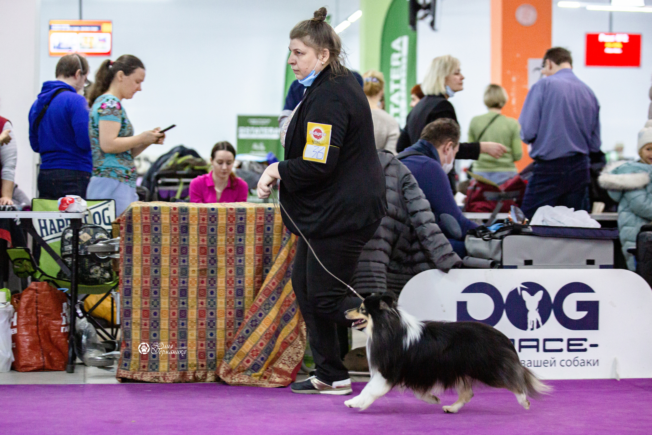 Чайна-Таун 12-13 февраля 2022. Фотограф-анималист Юлия Германика