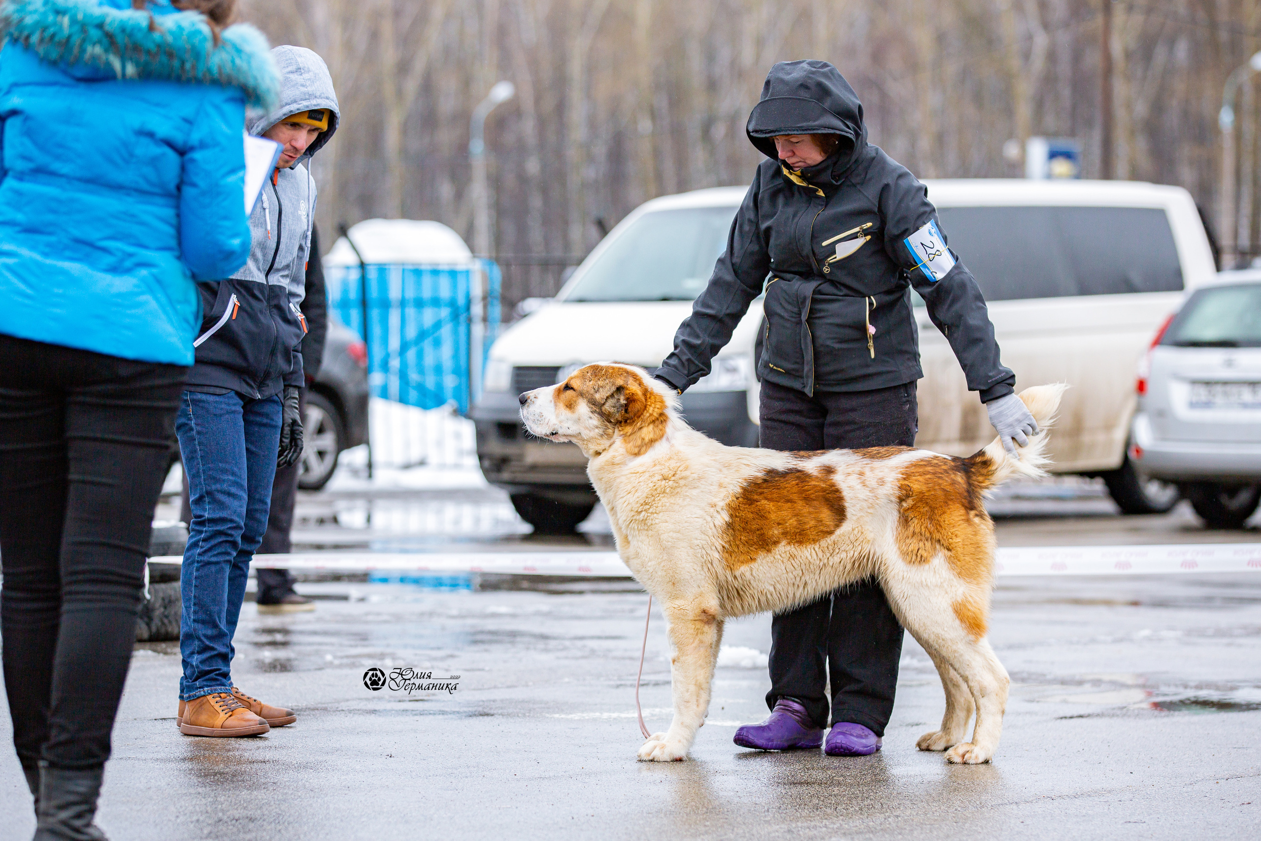 2хМОНО САО Рязань 02 апреля 2022. Фотограф-анималист Юлия Германика