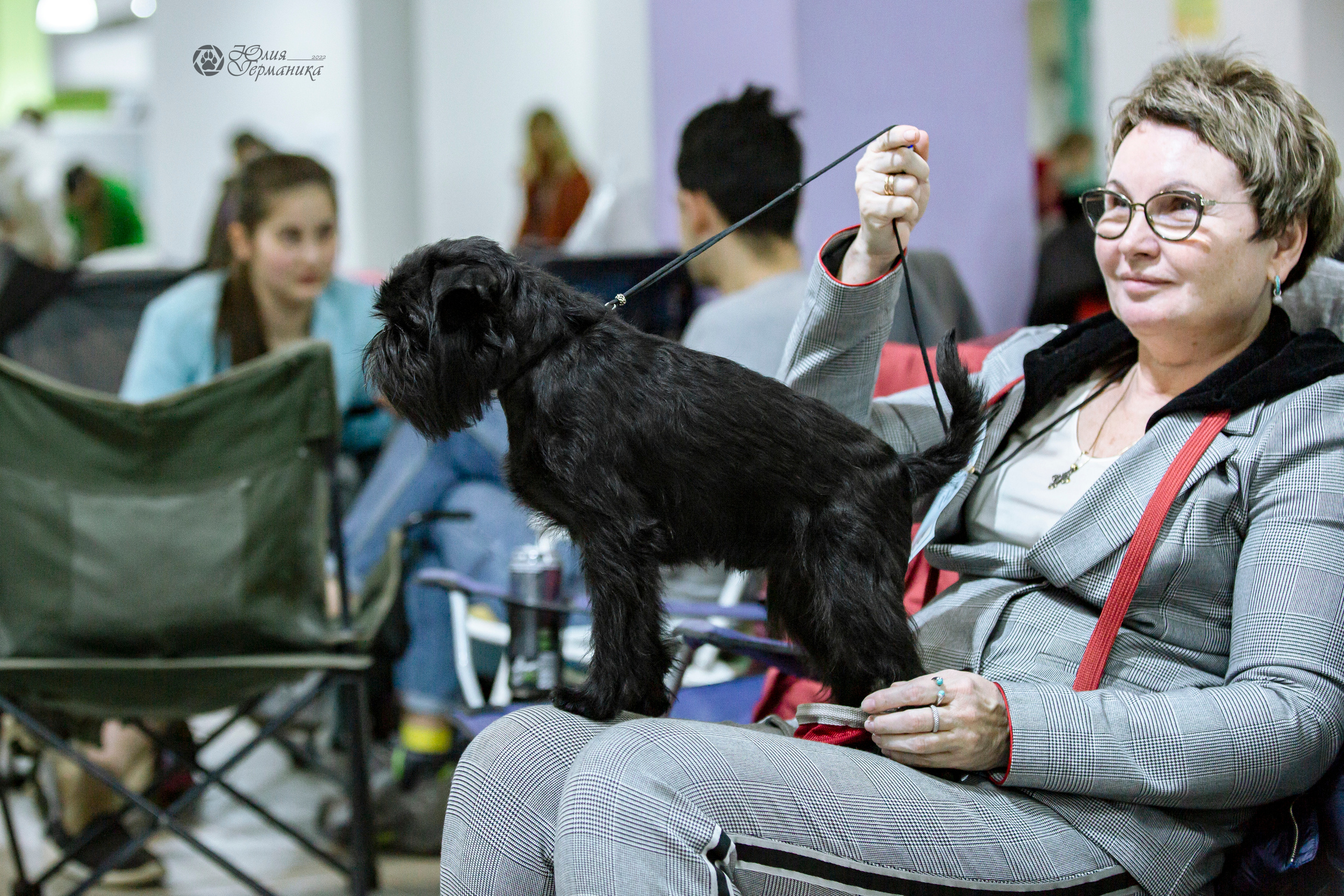 Чайна-Таун 24 и 27 марта 2022. Фотограф-анималист Юлия Германика