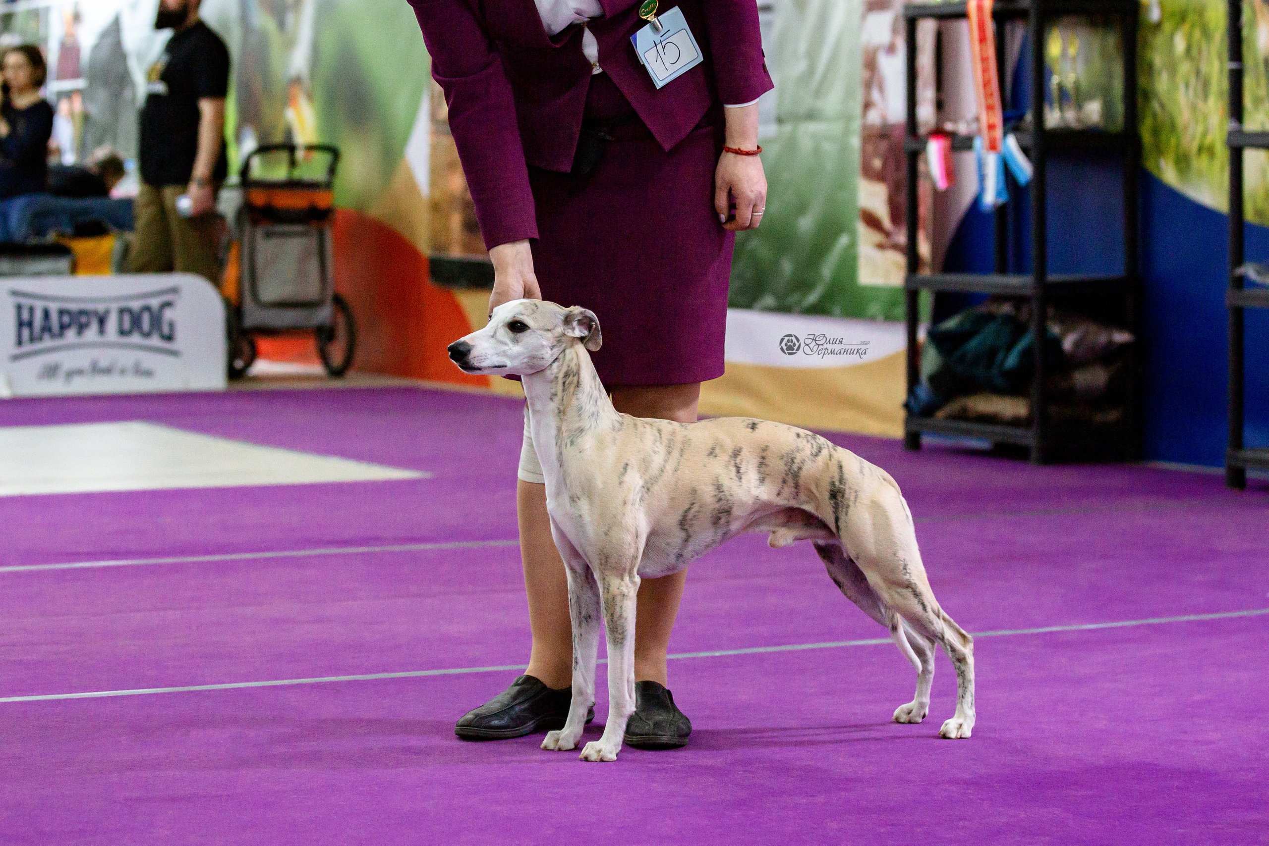 Чайна-Таун 24 и 27 марта 2022. Фотограф-анималист Юлия Германика