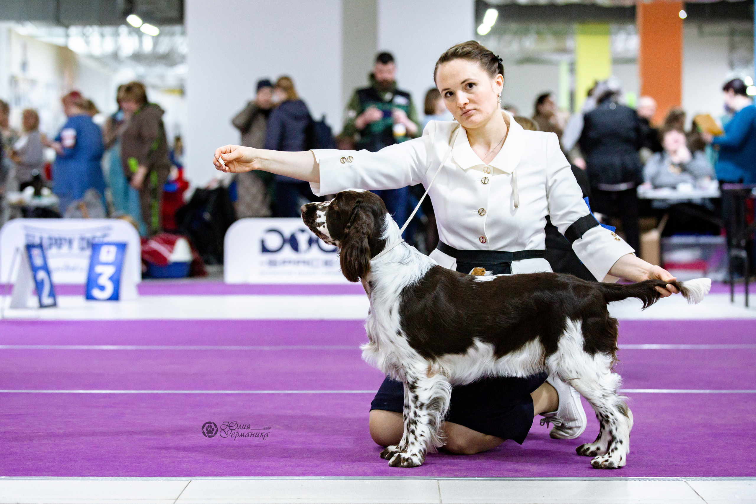 Чайна-Таун 24 и 27 марта 2022. Фотограф-анималист Юлия Германика
