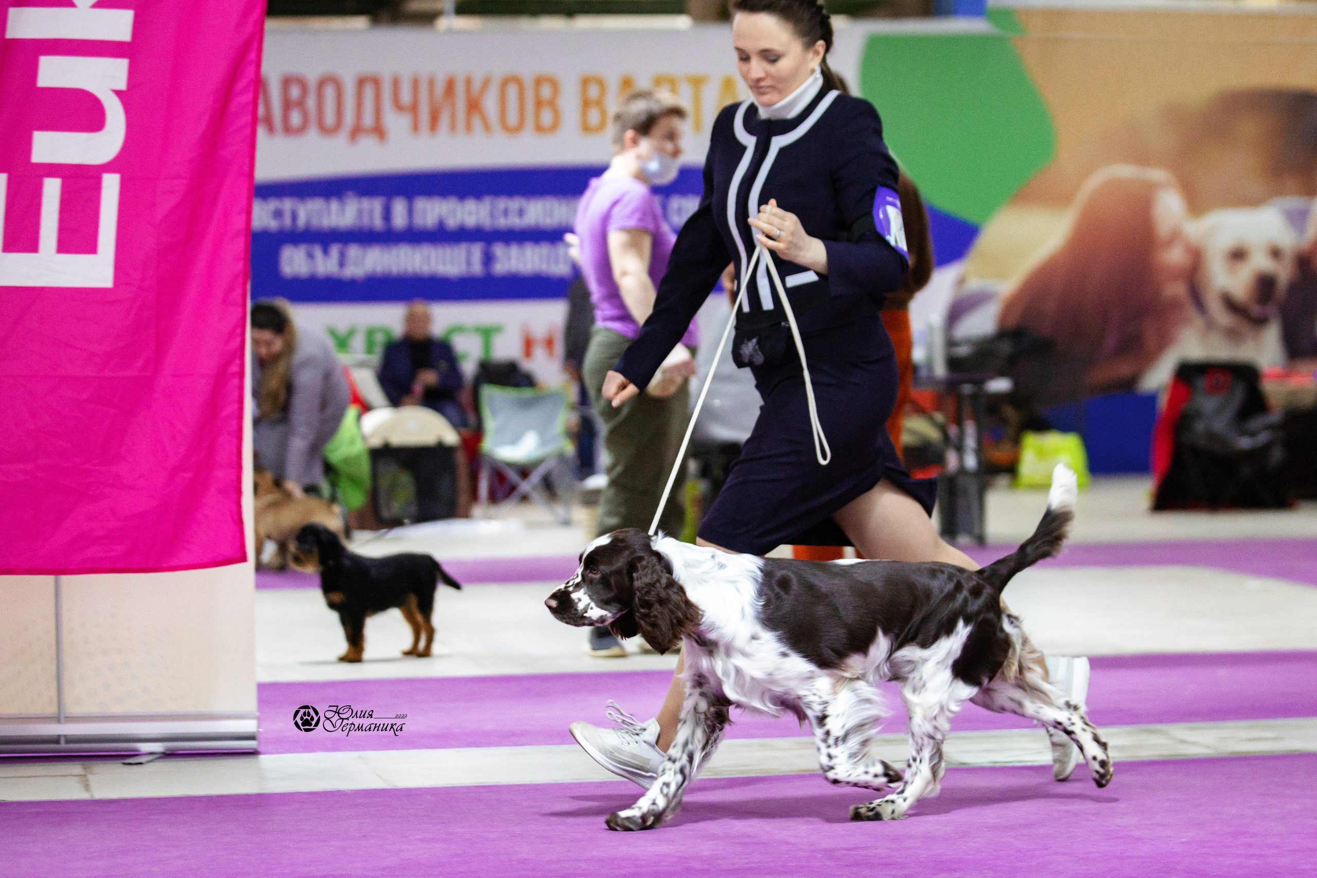 Чайна-Таун 23 февраля 2022. Фотограф-анималист Юлия Германика