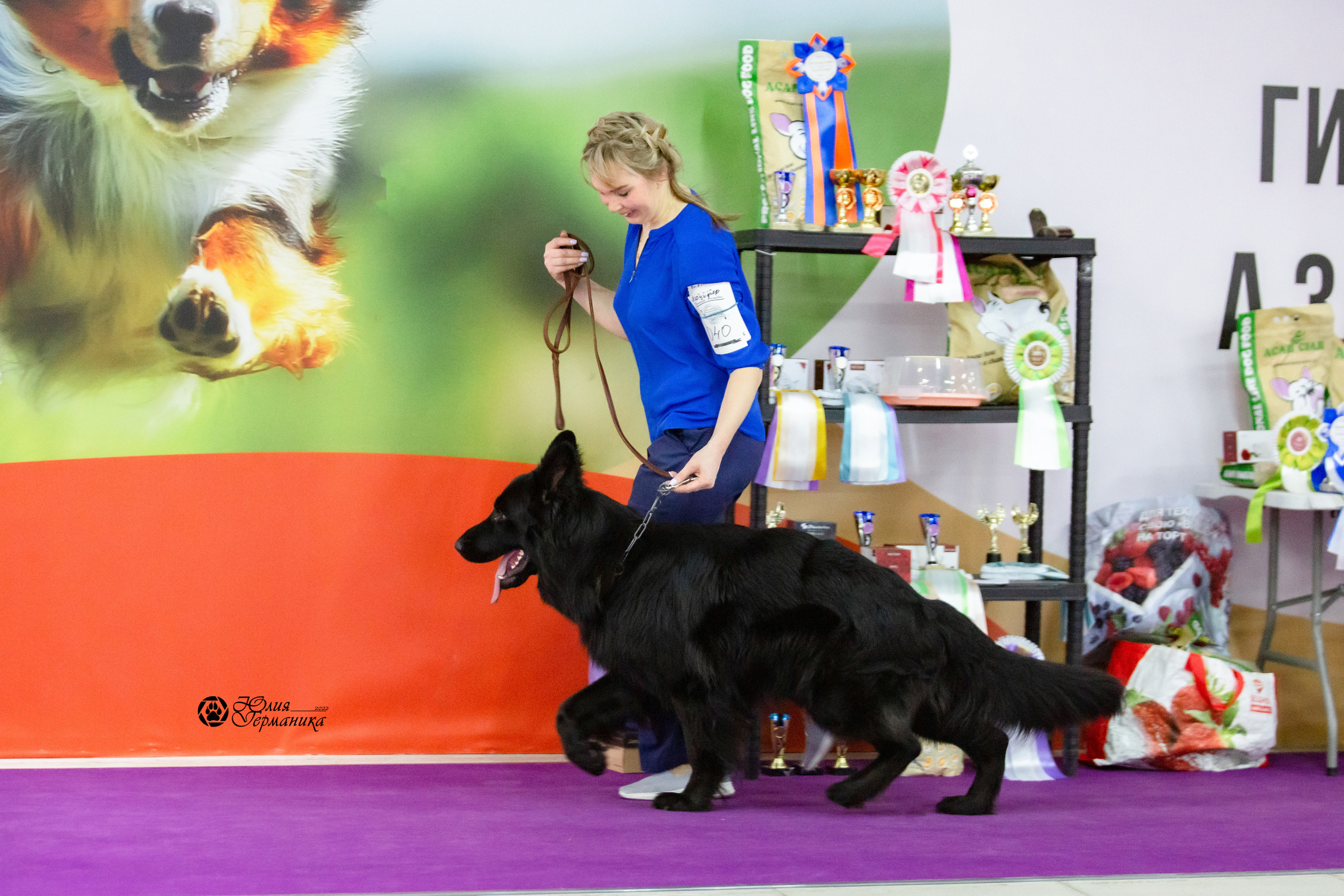 Чайна-Таун 12-13 февраля 2022. Фотограф-анималист Юлия Германика