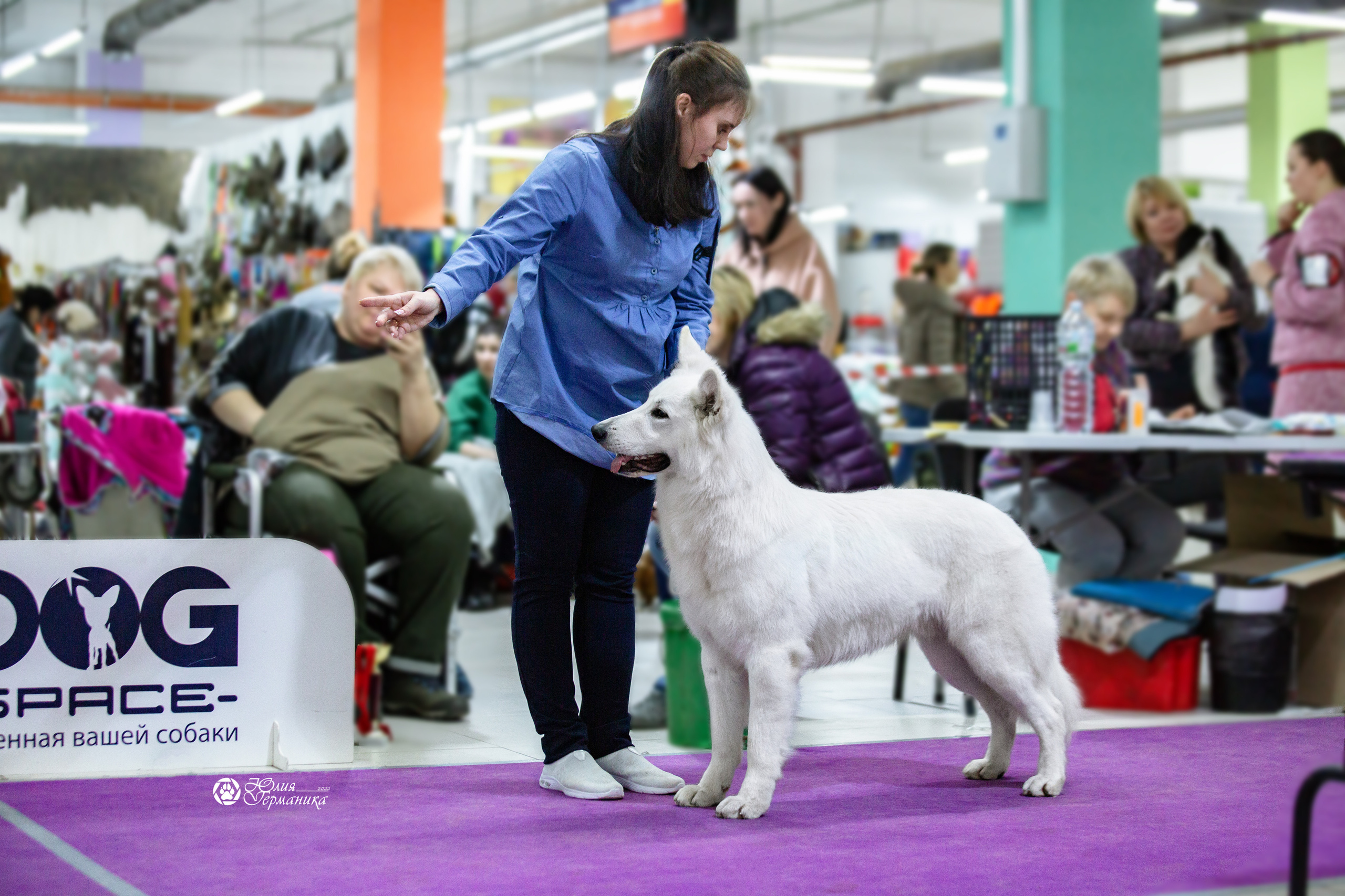 Чайна-Таун 13 и 20 марта 2022. Фотограф-анималист Юлия Германика