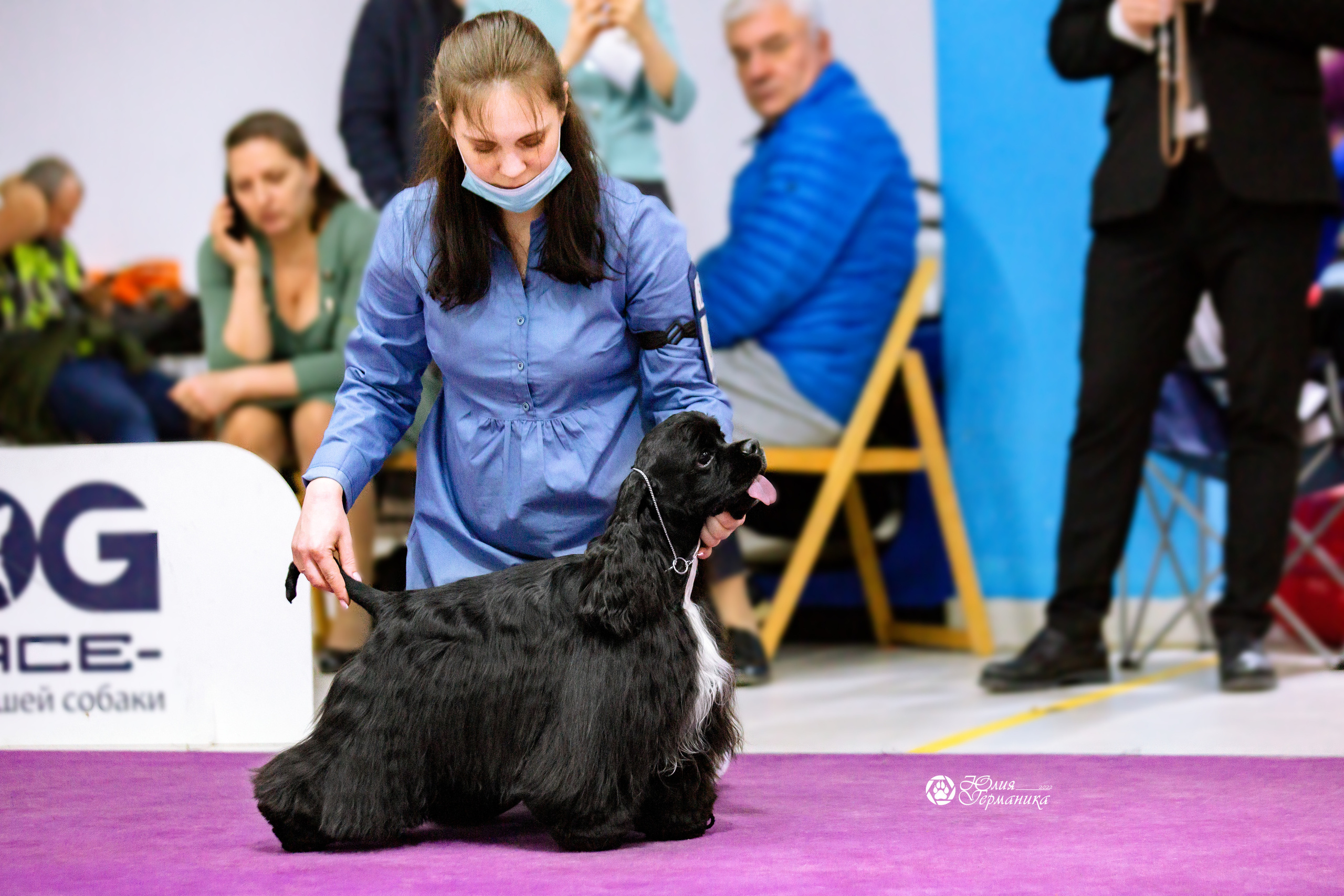 Чайна-Таун 13 и 20 марта 2022. Фотограф-анималист Юлия Германика