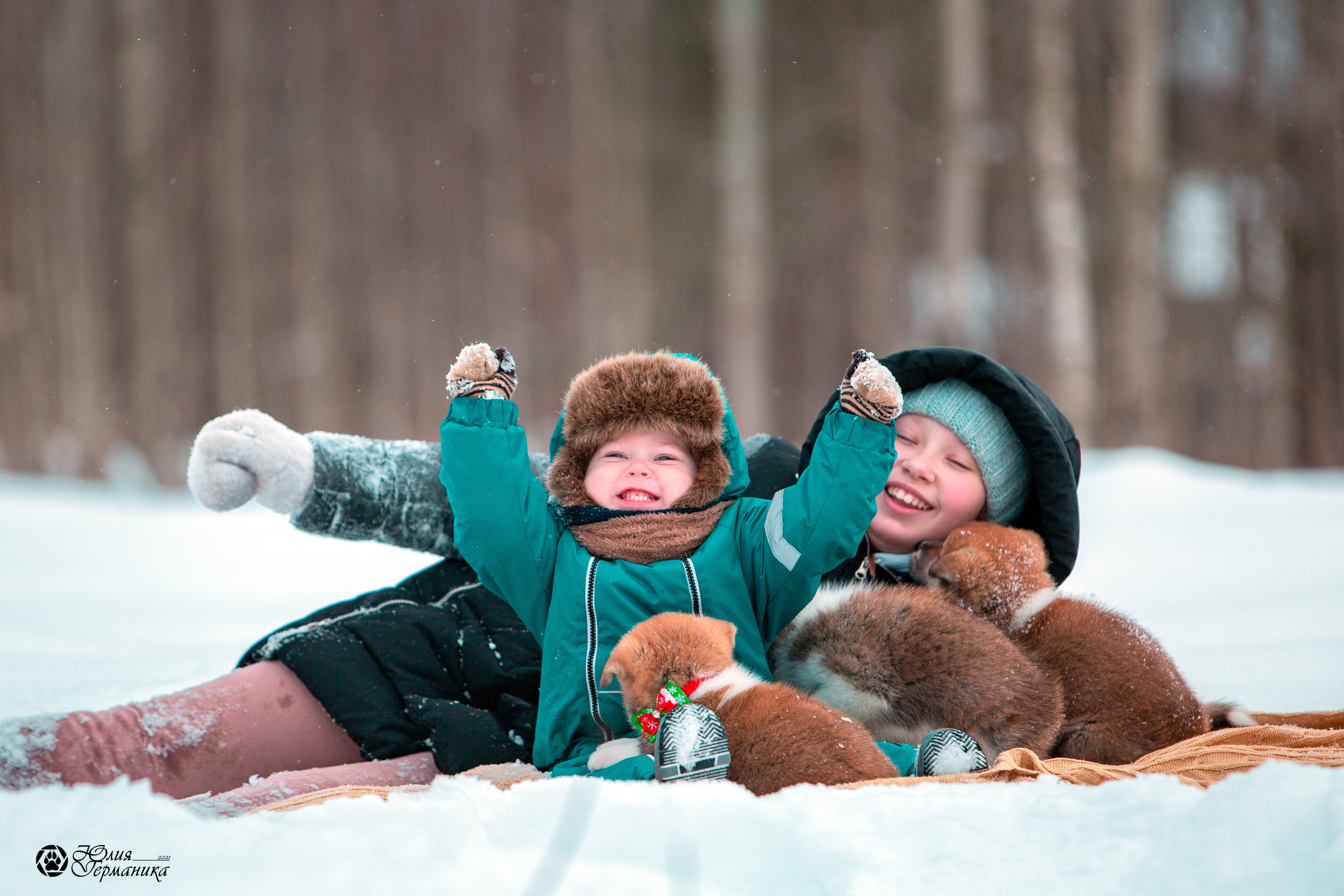 Свободная съемка. Фотограф-анималист Юлия Германика